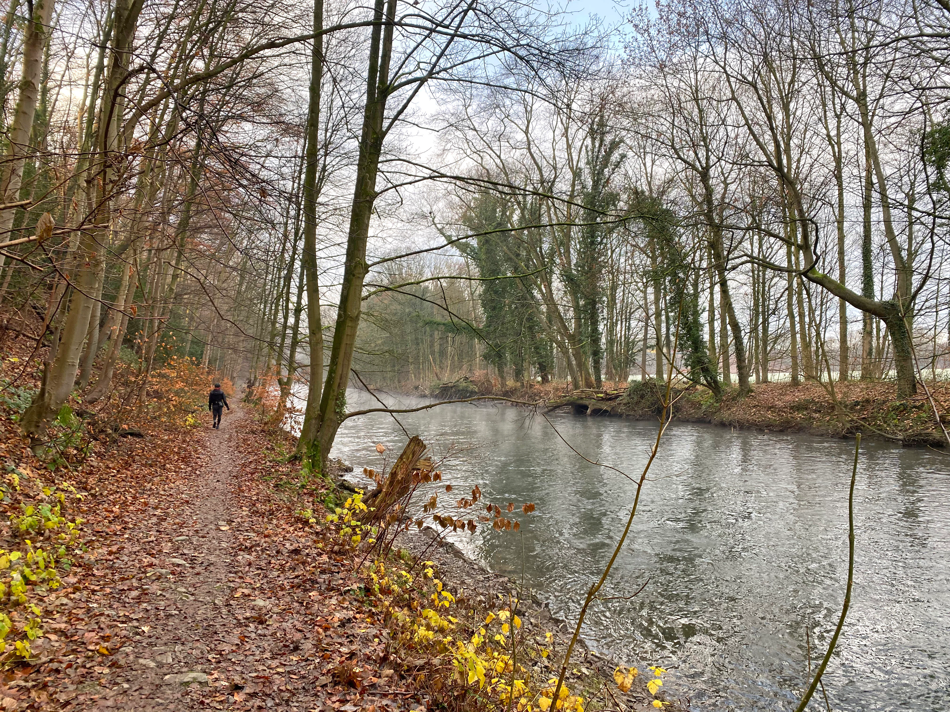 A dirt trail covered in autumn leaves runs alongside a calm river with bare trees in a forest setting.