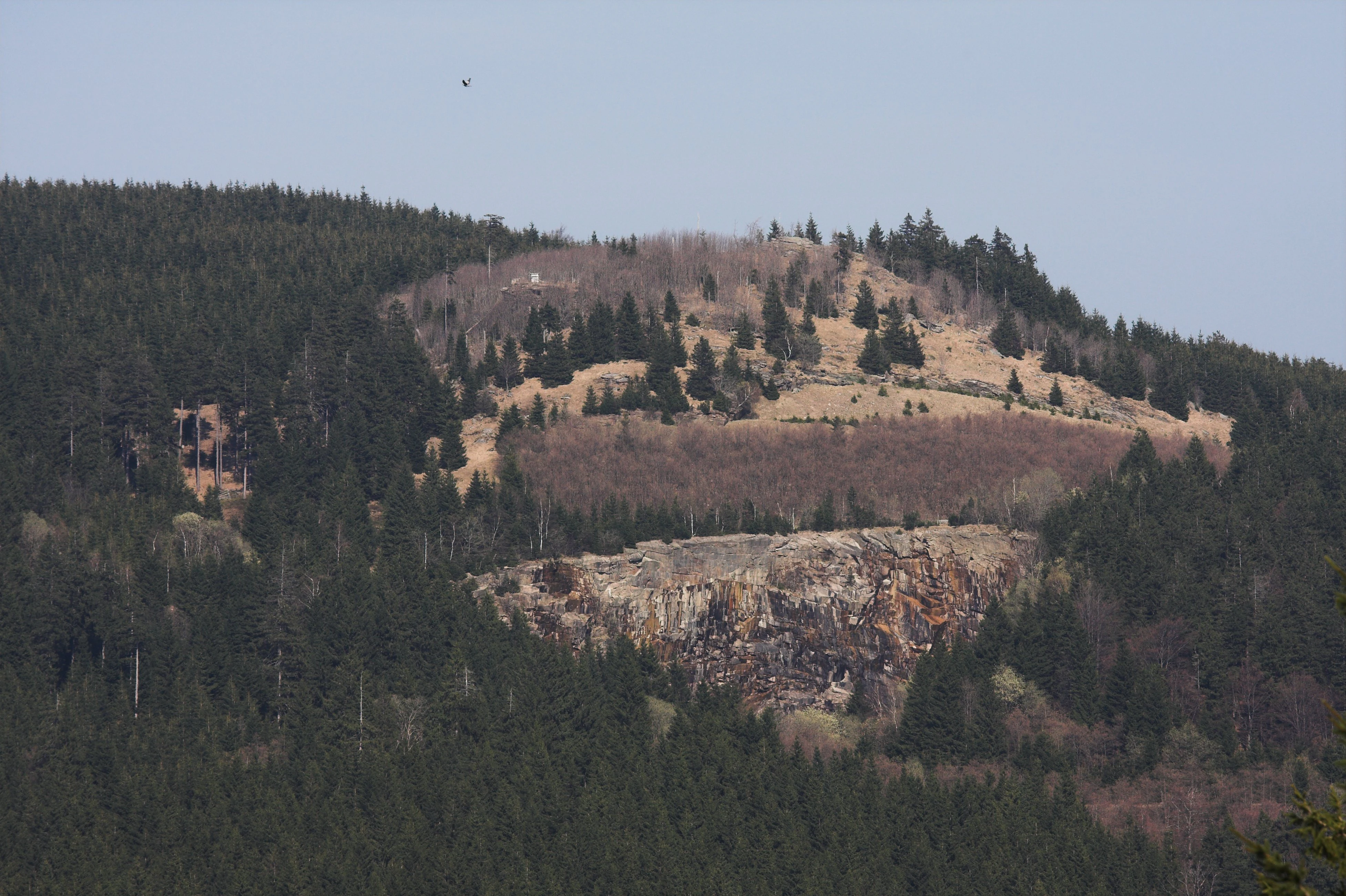 A mountain slope covered in dense coniferous forest with a visible exposed rock face and quarry area in the midground.