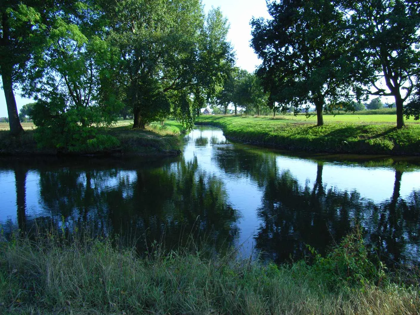 A calm, reflective river junction surrounded by lush green trees and grassy riverbanks on a sunny day.