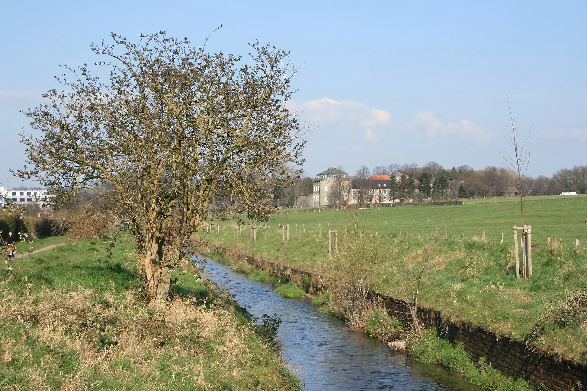A narrow river flows through a green meadow with a deciduous tree in the foreground and a historic building visible in the distance.