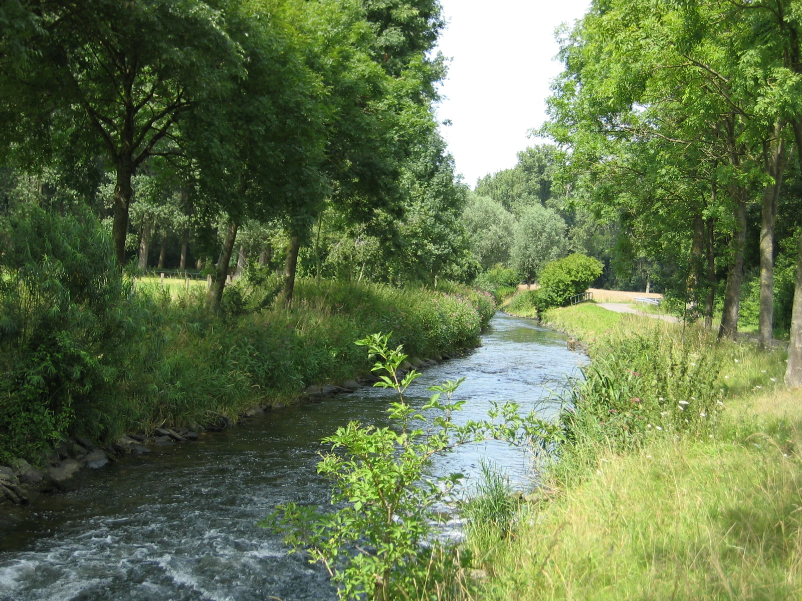 A narrow river flows through a green landscape with trees lining both banks.