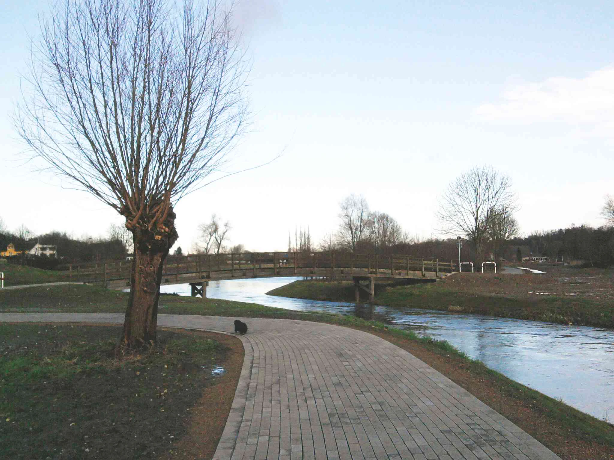 A paved pedestrian path winds along the bank of a river with a wooden footbridge spanning the water, flanked by a bare willow tree.