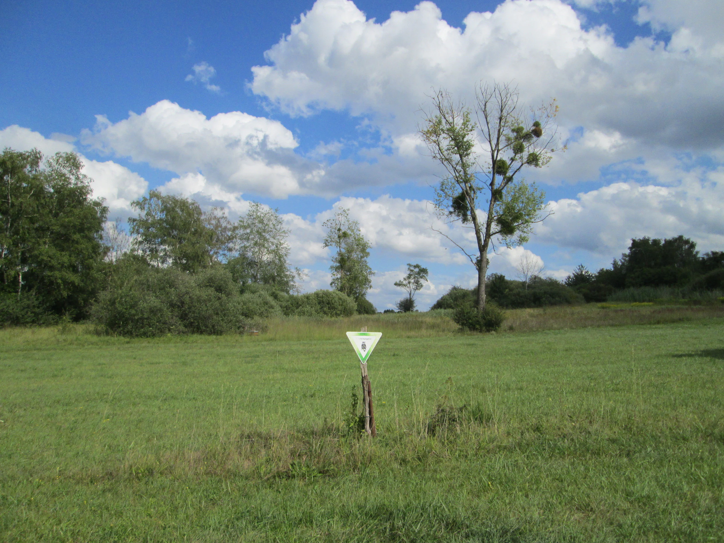 A green grassland meadow with a white triangular boundary marker on a wooden post in the foreground, scattered trees and shrubs in the background under a blue sky with white cumulus clouds.