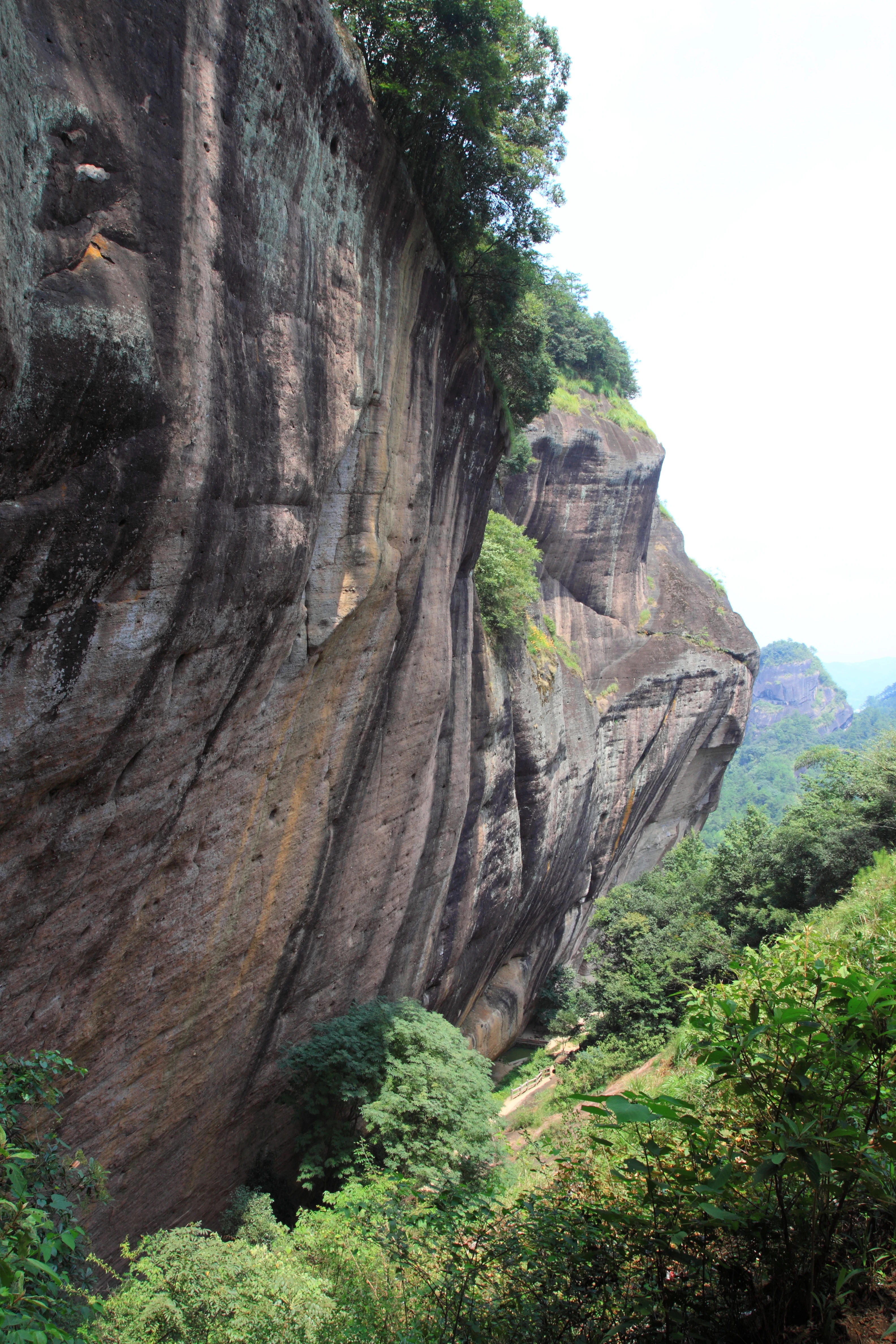 A towering, vertical cliff face of dark, weathered rock with green vegetation clinging to the top and base, set within a lush forest landscape.