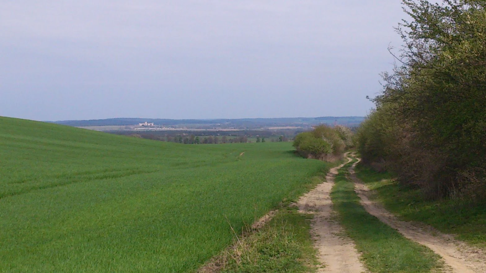 A dirt track follows the edge of a lush green agricultural field towards a distant tree line and rolling horizon under an overcast sky.
