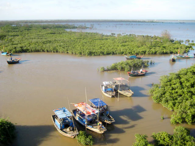 Aerial view of a brown waterway surrounded by dense green mangrove forests with several fishing boats anchored in the water