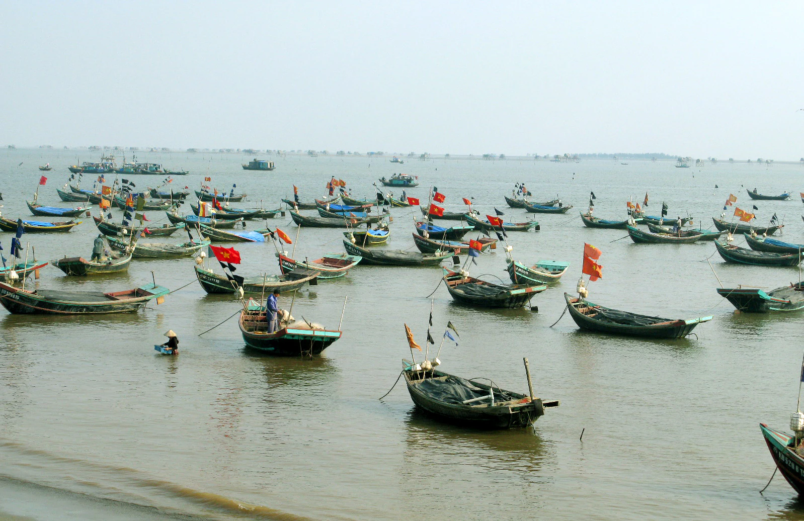 Traditional wooden fishing boats anchored in shallow water with distant horizon line