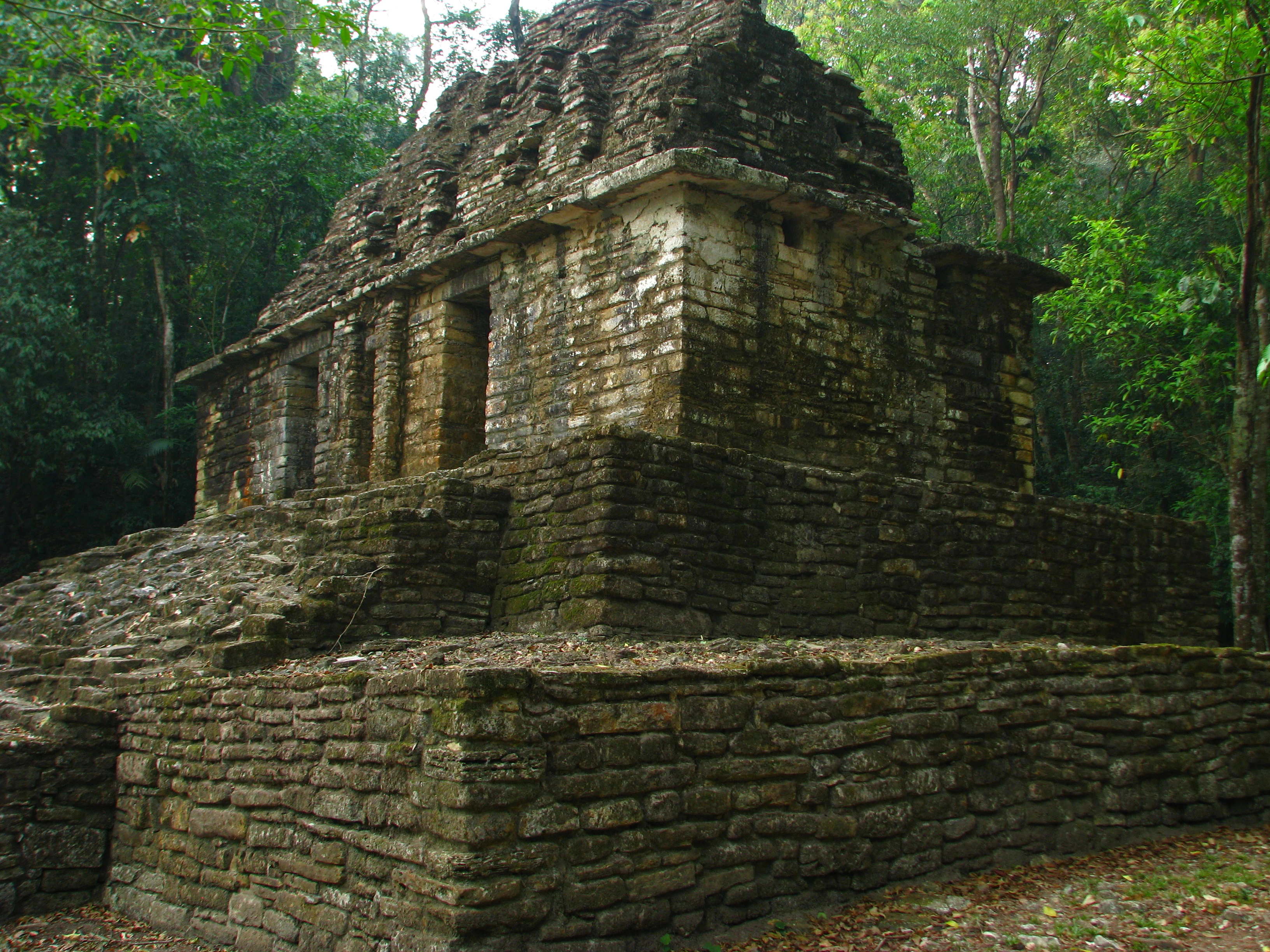 A weathered, dark stone Maya temple building with tiered walls and doorways, nestled within a lush, green tropical forest.