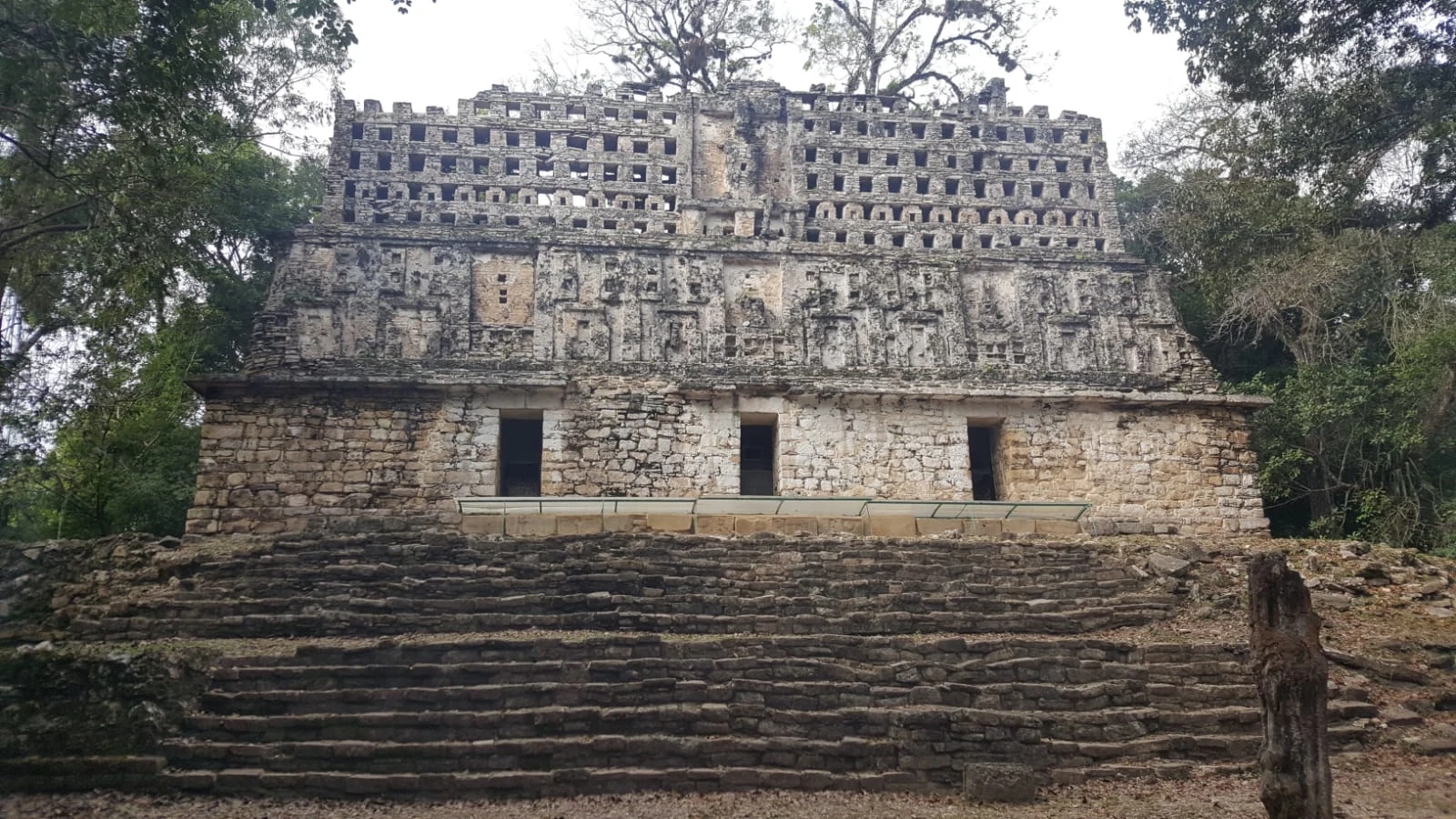 Front view of the stone Maya Structure 33 building with an ornate roof comb, set against a jungle background.