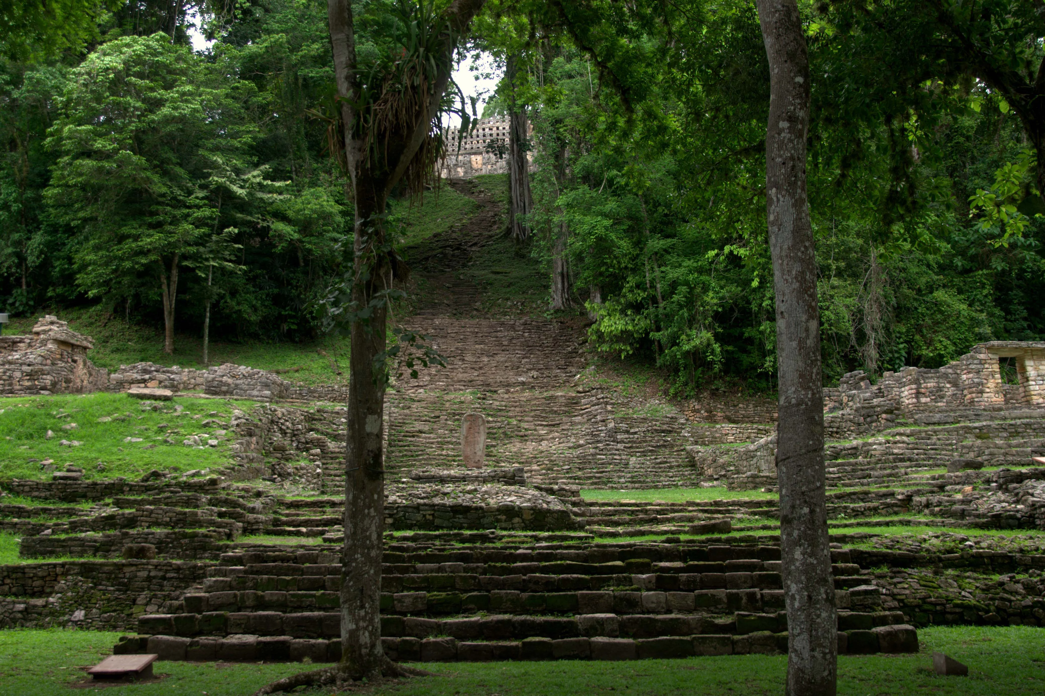 A wide stone stairway ascends a steep hill toward an ancient Maya building nestled in a dense tropical forest, with stepped ruins in the foreground.