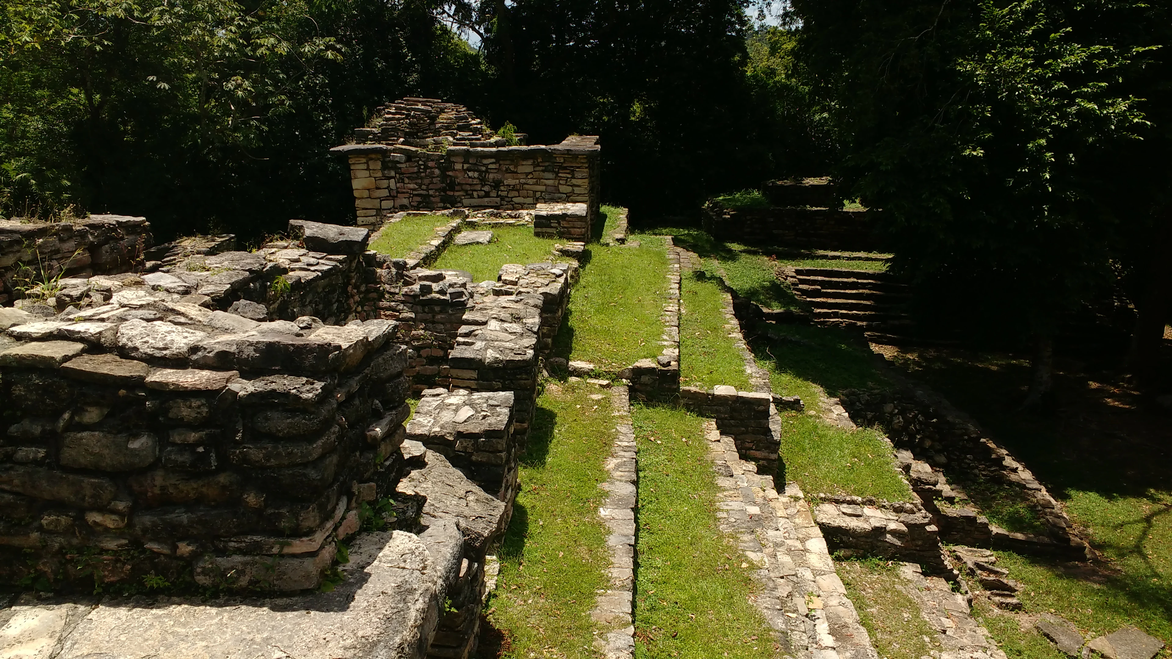 A high-angle view of ancient Maya stone ruins and tiered grass terraces surrounded by dense green forest foliage.
