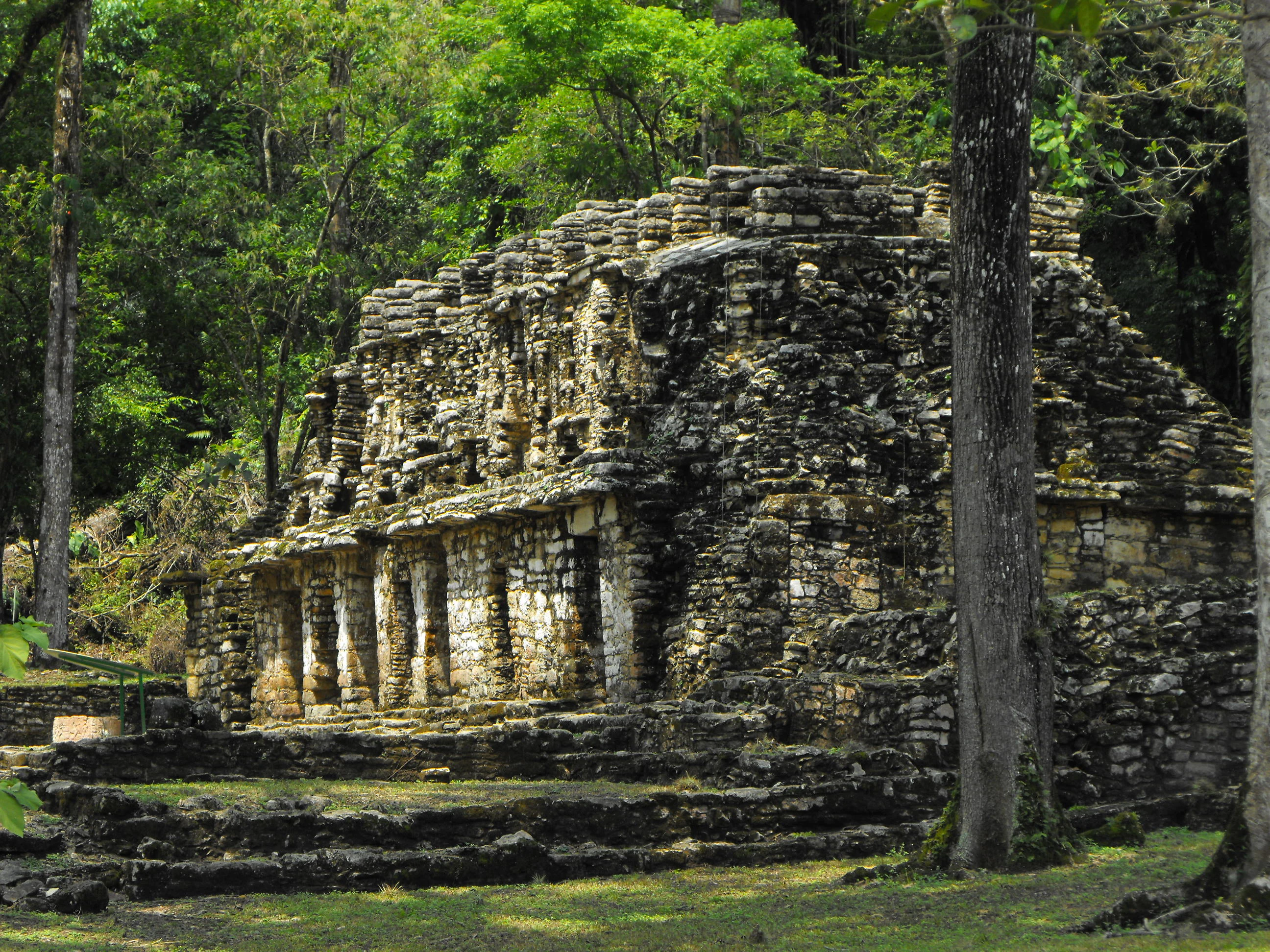A weathered, multi-level ancient stone Mayan structure with pillars and stepped architecture, surrounded by dense green forest trees.