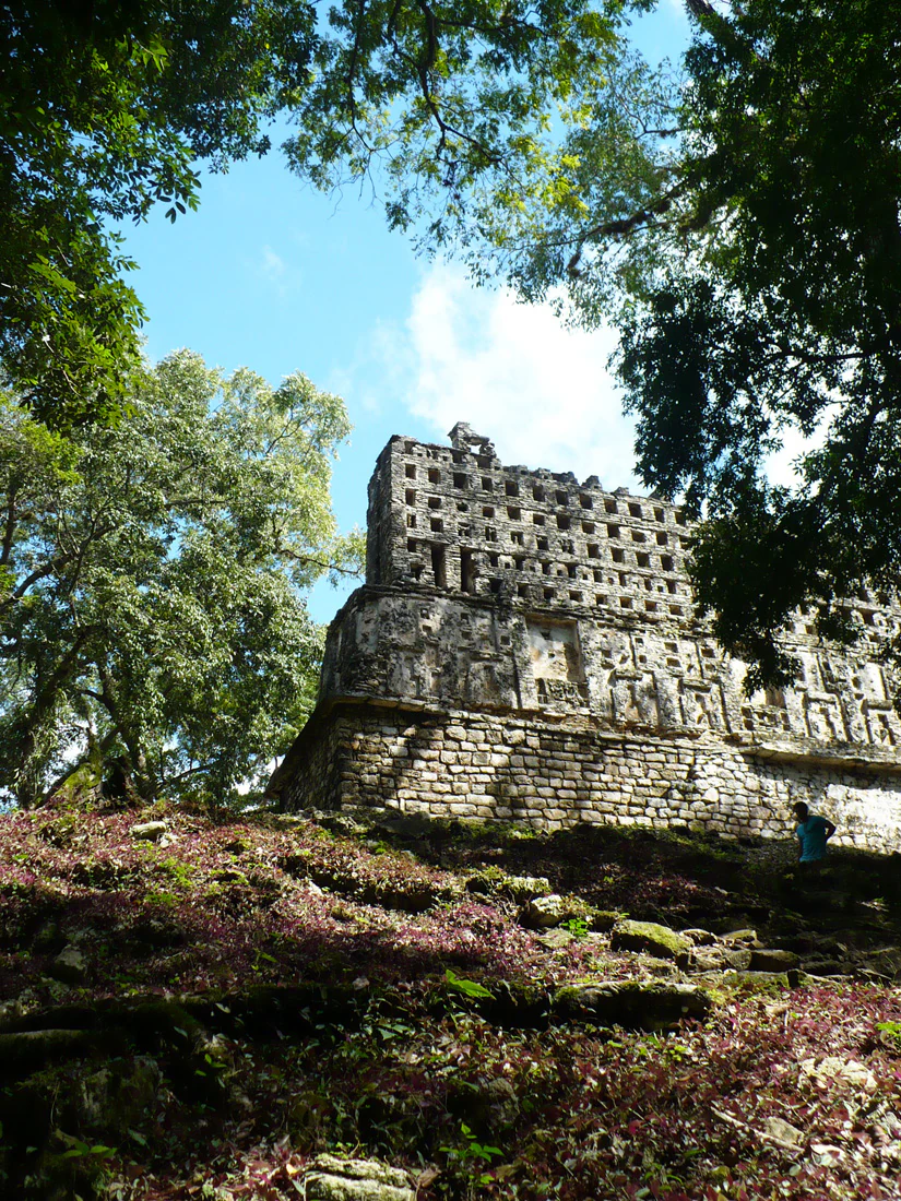 An ancient stone temple structure with a lattice roof comb, seen from below through the surrounding jungle canopy.