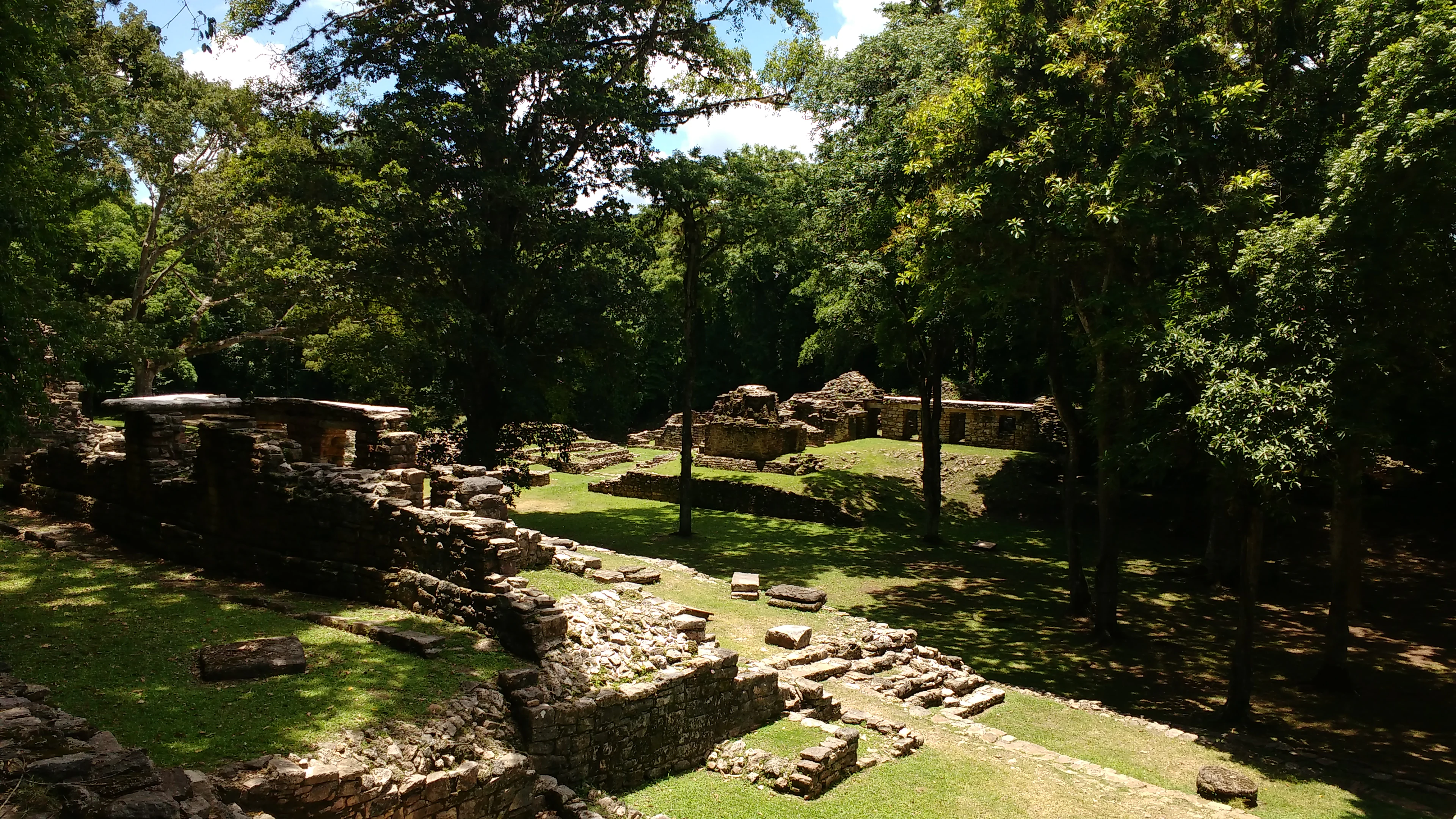 An elevated view of ancient stone archaeological ruins surrounded by a lush green forest at Yaxchilán.