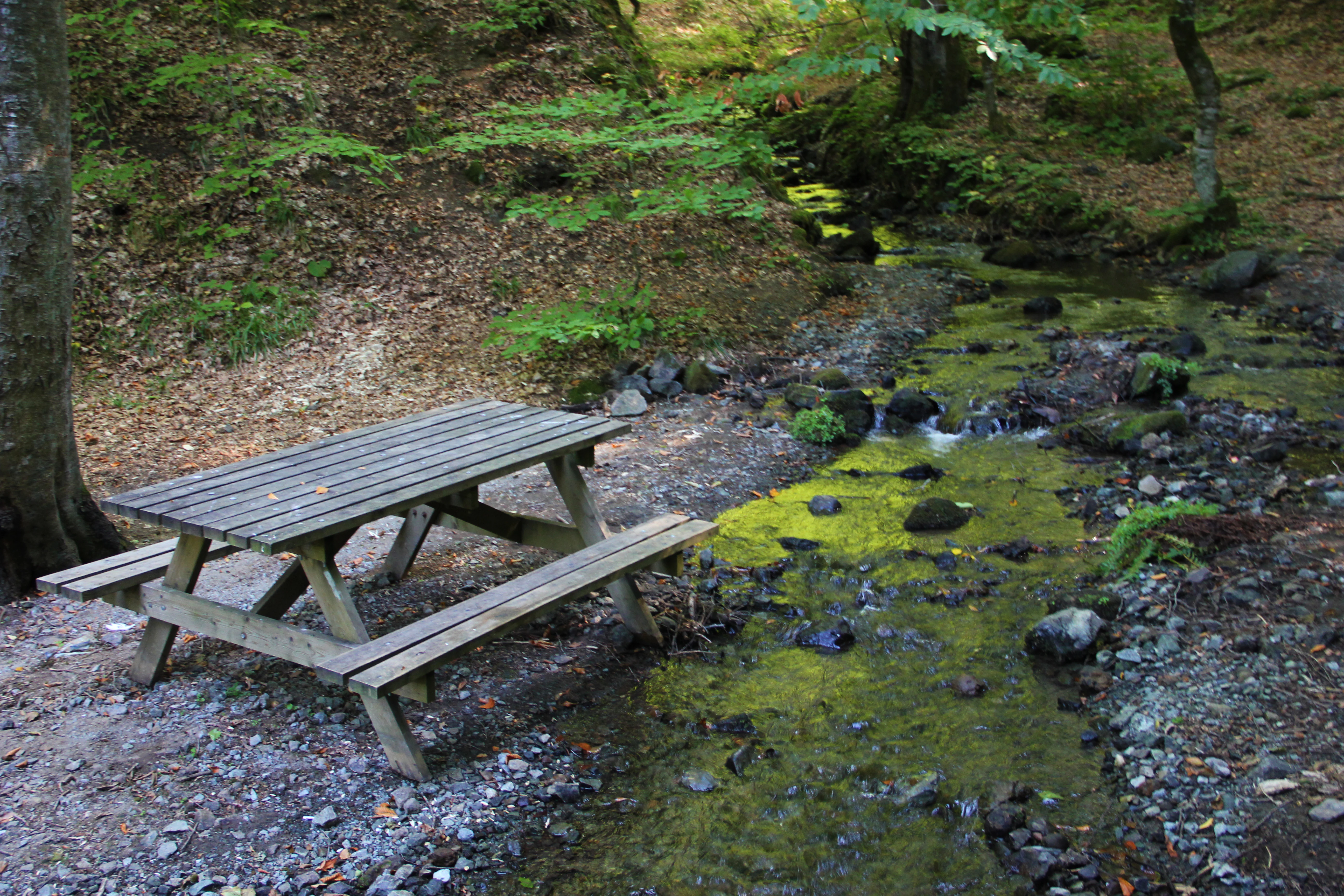 Wooden picnic table on gravel beside a stream with moss-covered rocks and trees