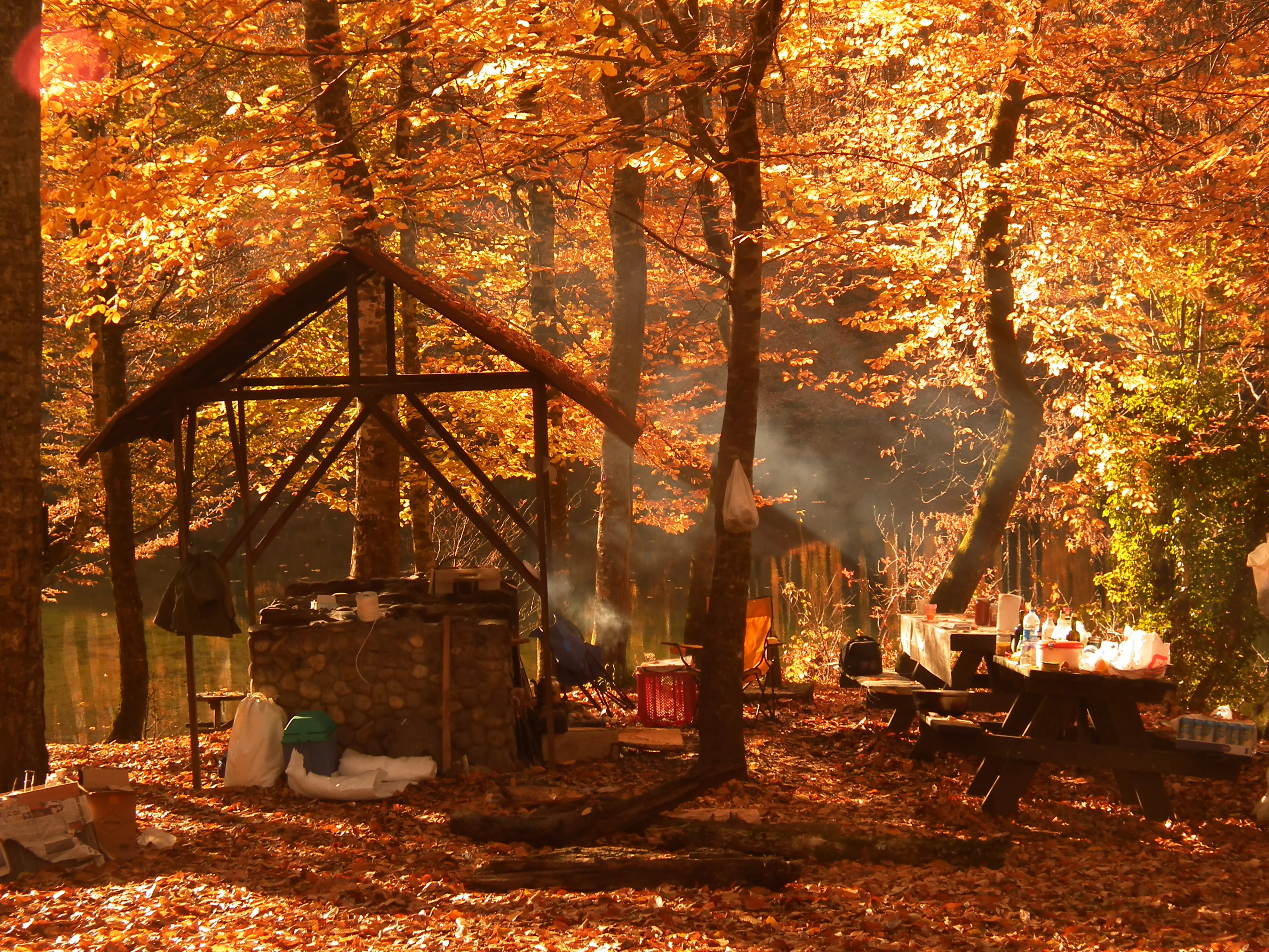 Wooden shelter, picnic tables, and autumn leaves in a forested area of Yedigöller National Park