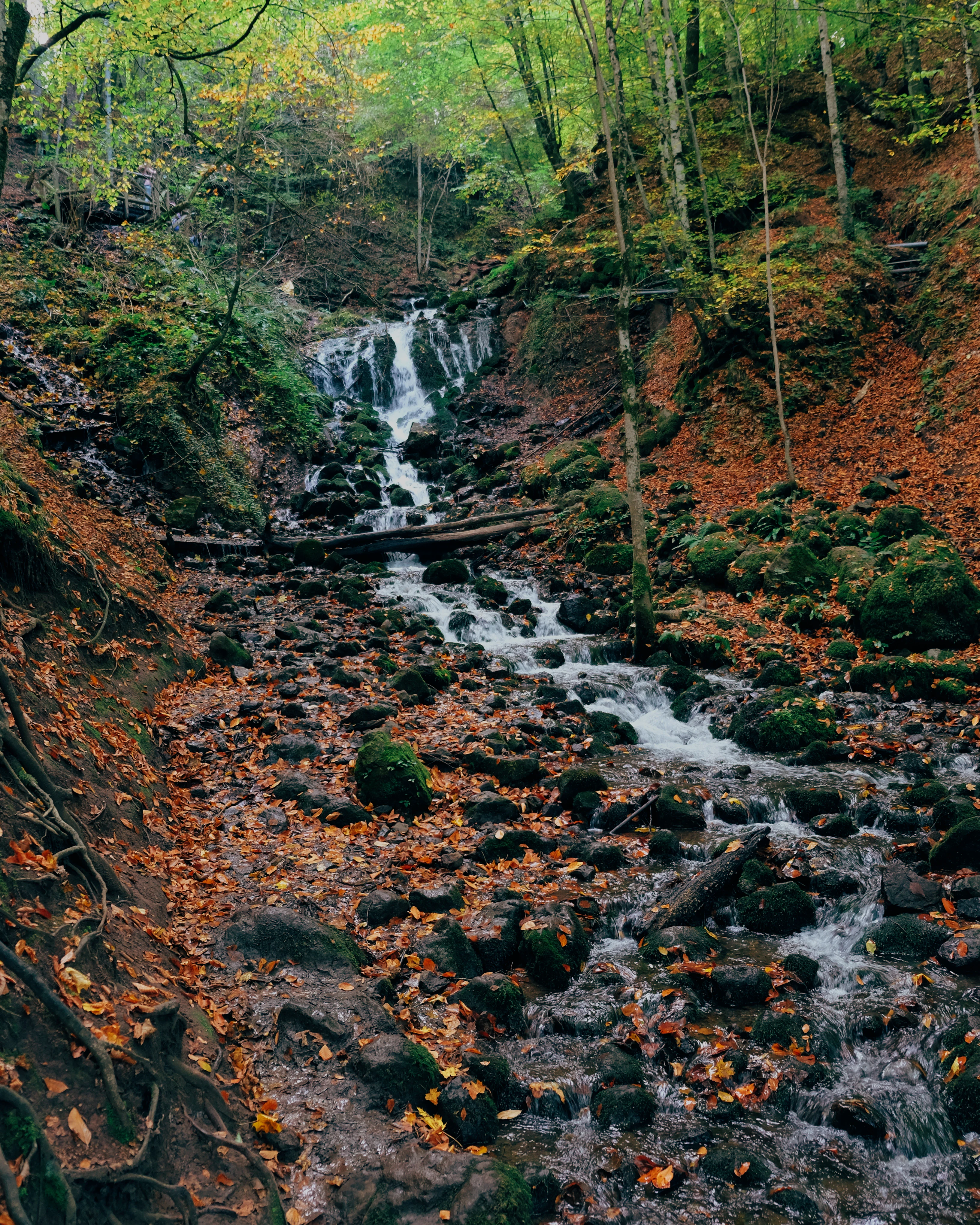 Waterfall cascading over rocks in a forested area with scattered fallen leaves and moss-covered stones