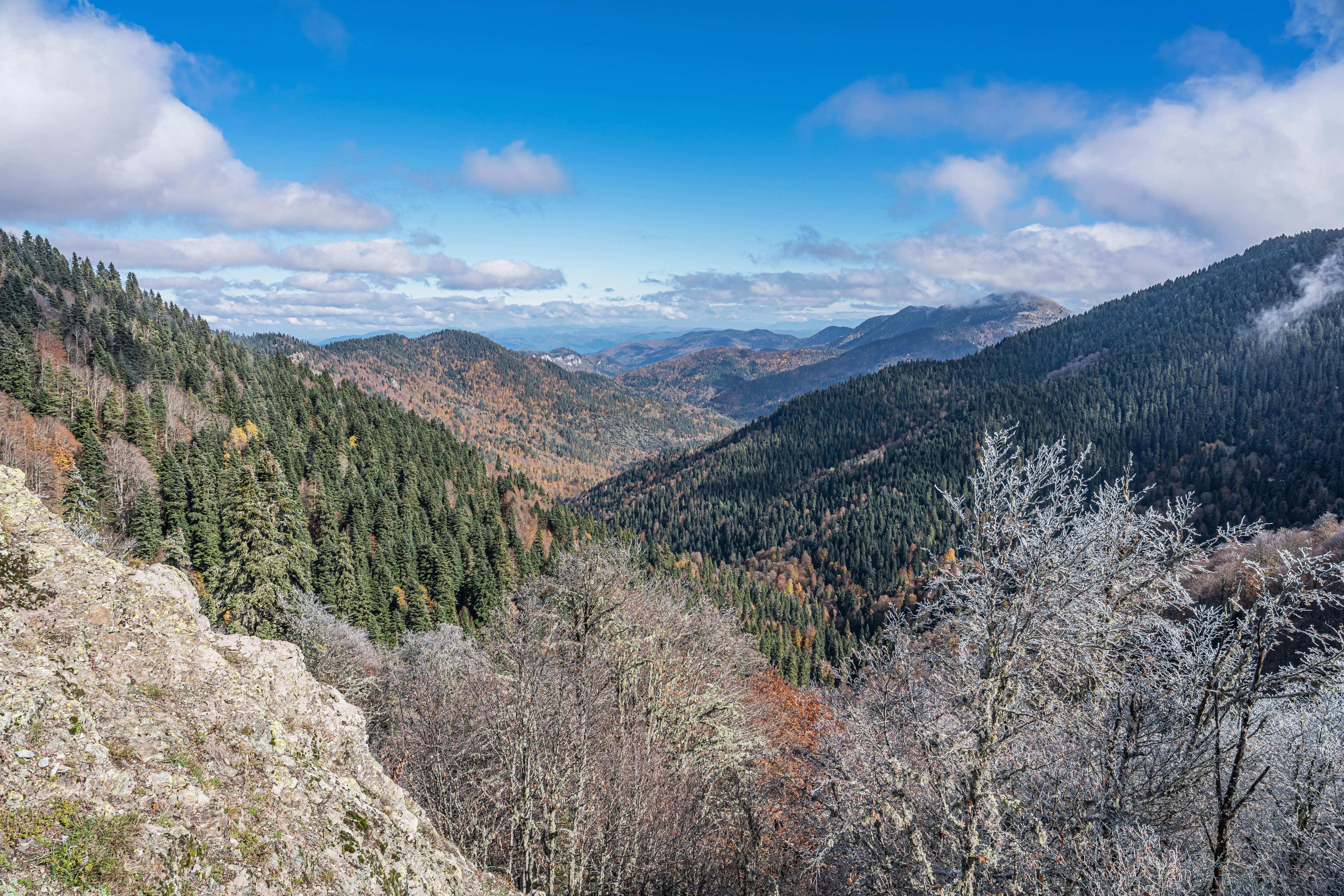 Mountain valley with forested slopes, rocky outcrop in foreground, and partly cloudy blue sky