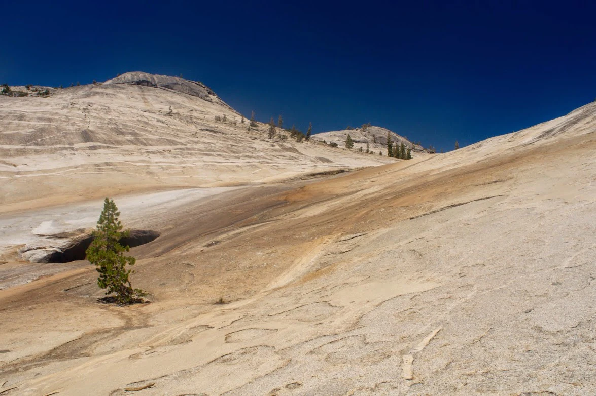 Smooth granite landscape with a single tree, clear blue sky, and distant hills