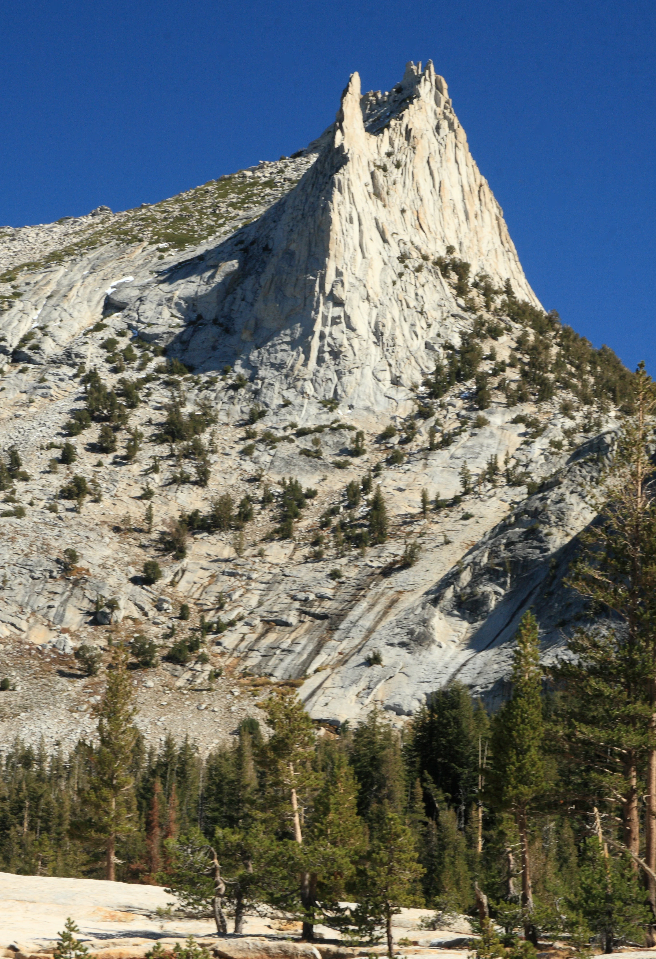 Granite peak with steep cliffs and scattered trees, forested base under clear blue sky.