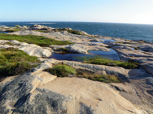 Rocky shoreline with patches of green vegetation and small tidal pools, overlooking the sea