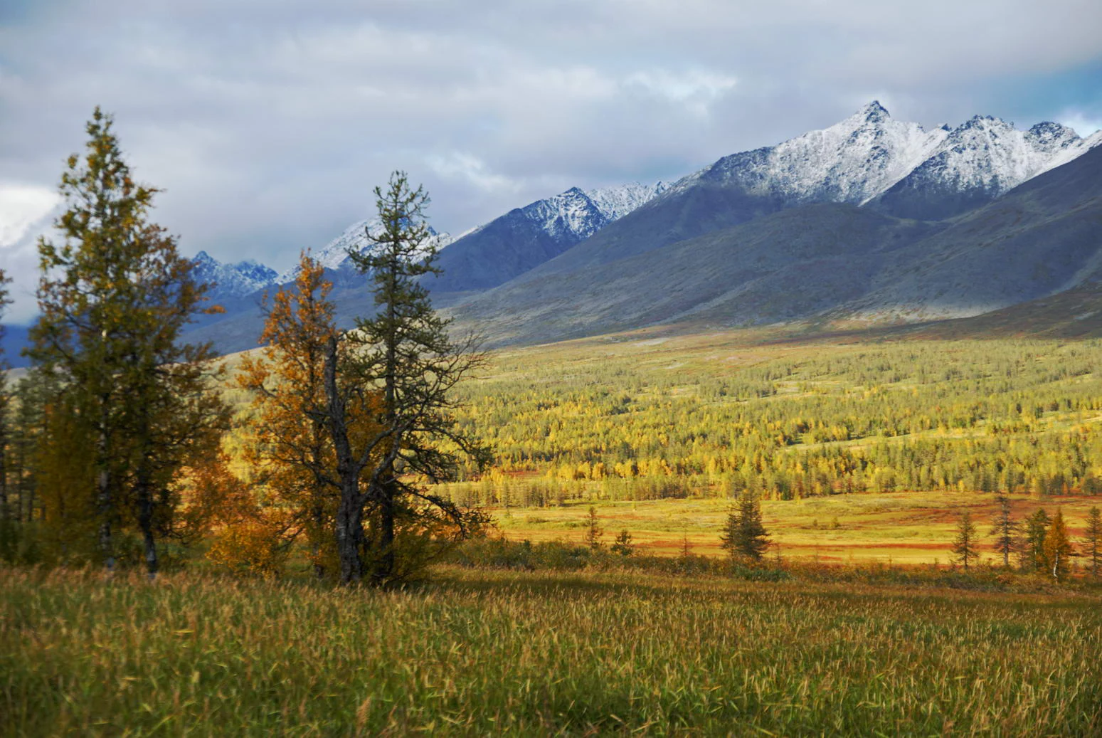 A wide landscape view of the Sablin Ridge with snow-capped peaks in the background and golden autumn forest and tundra in the foreground.