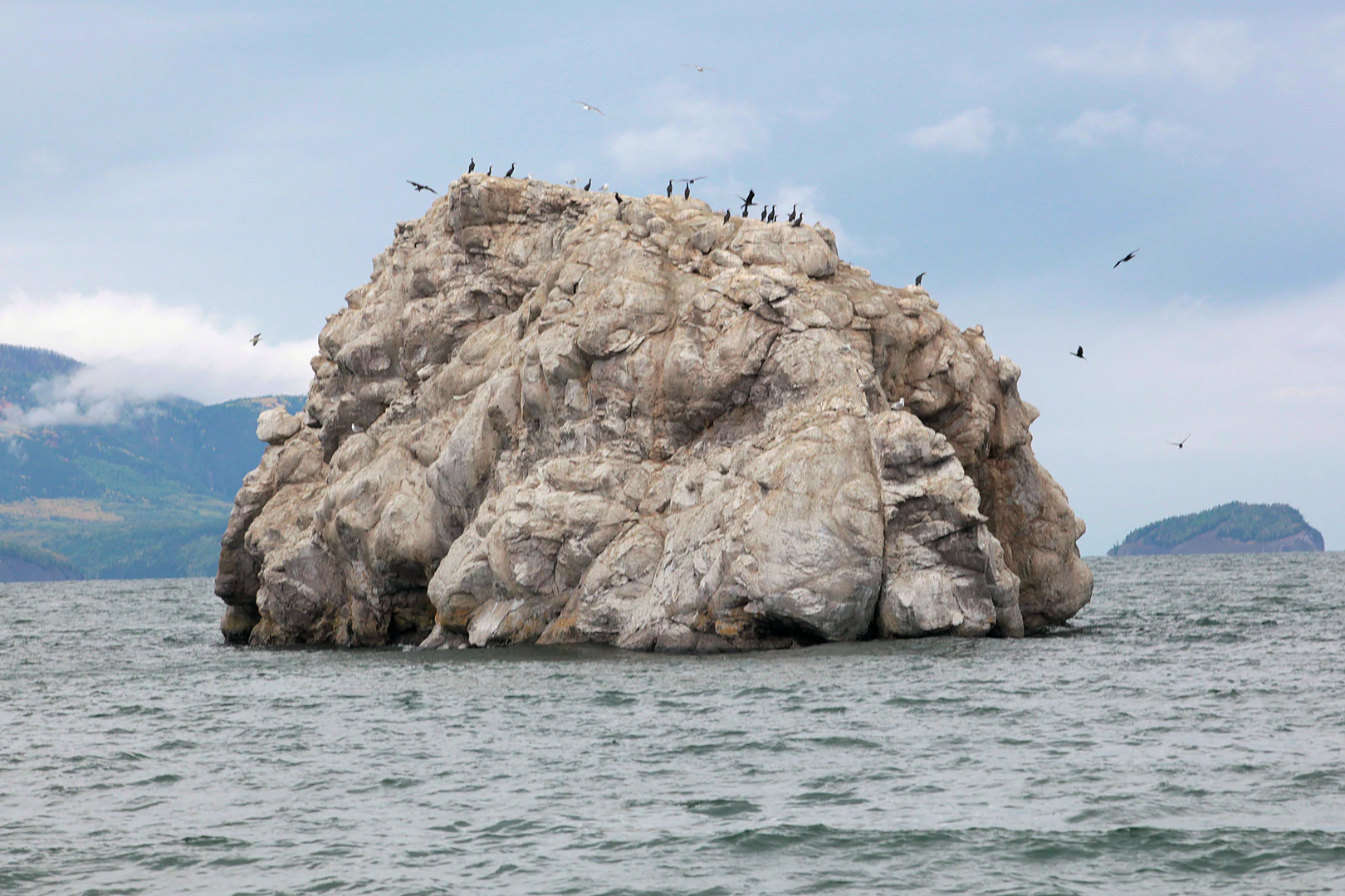 Large rock island in Lake Baikal with numerous birds perched on its surface