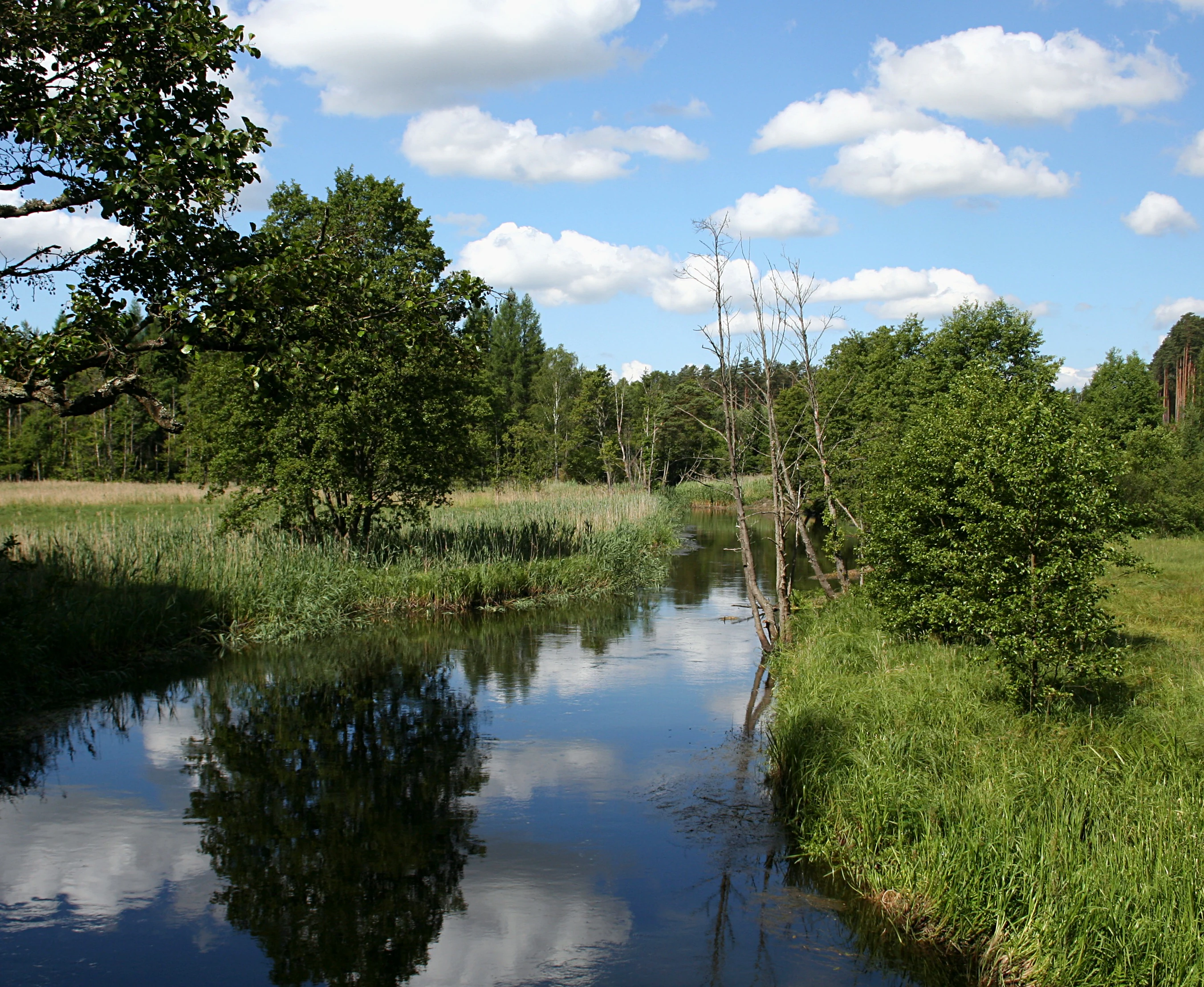 Brda River in Zaborski Landscape Park