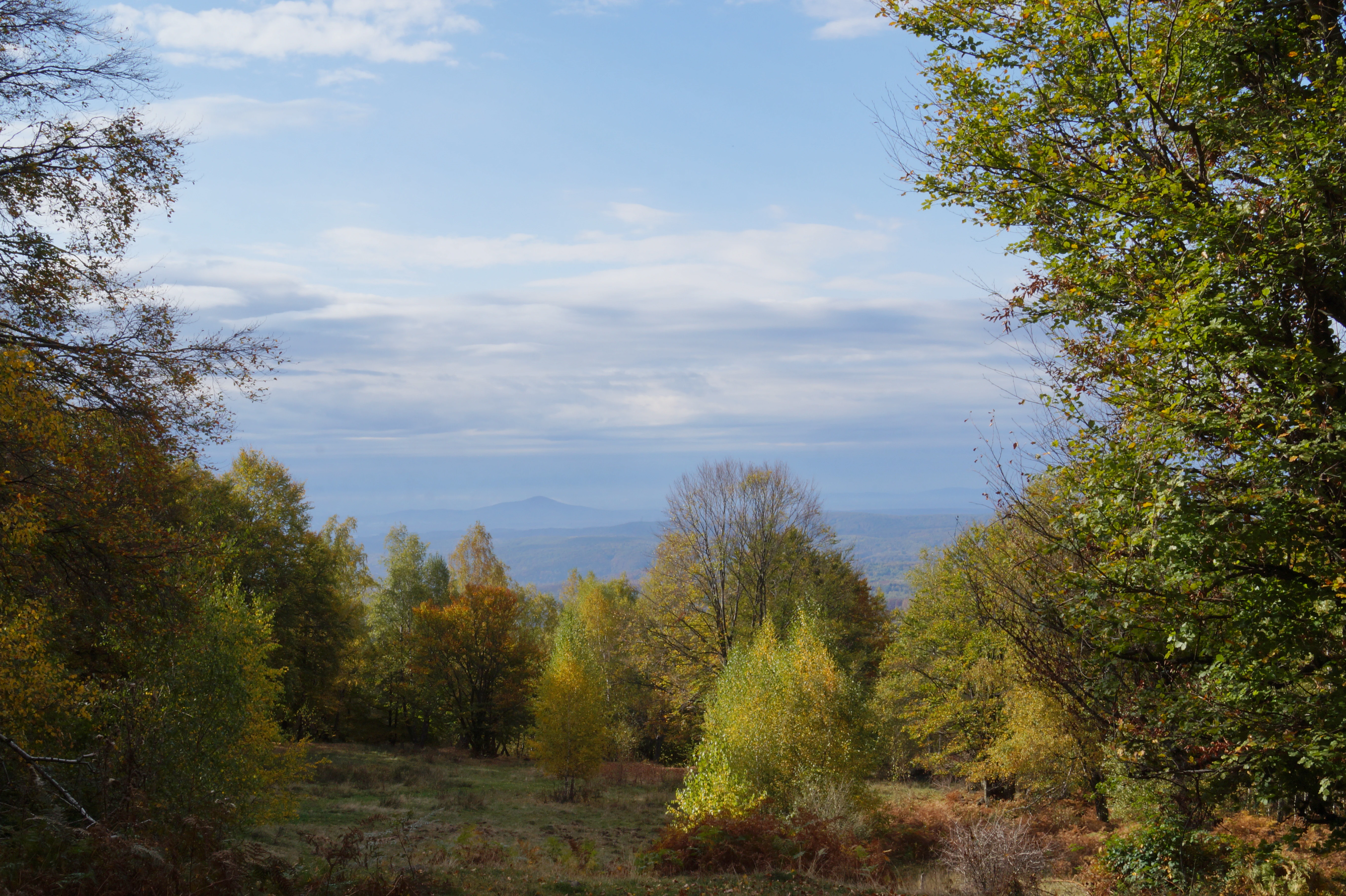 Autumn forest landscape with colorful trees and distant mountains under a partly cloudy sky