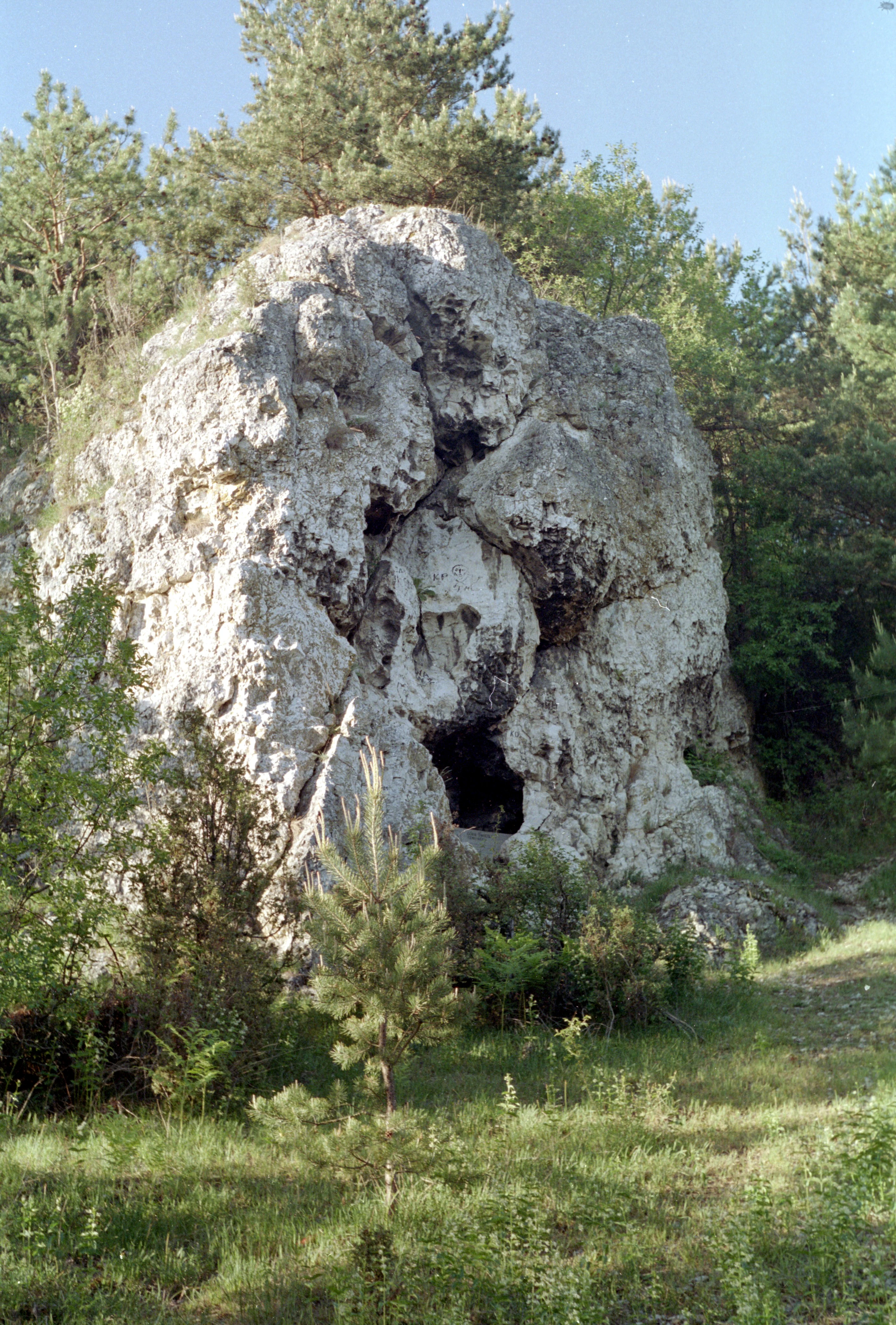 A large, rugged limestone rock outcrop with a small cave opening at its base, surrounded by pine trees and green grass.