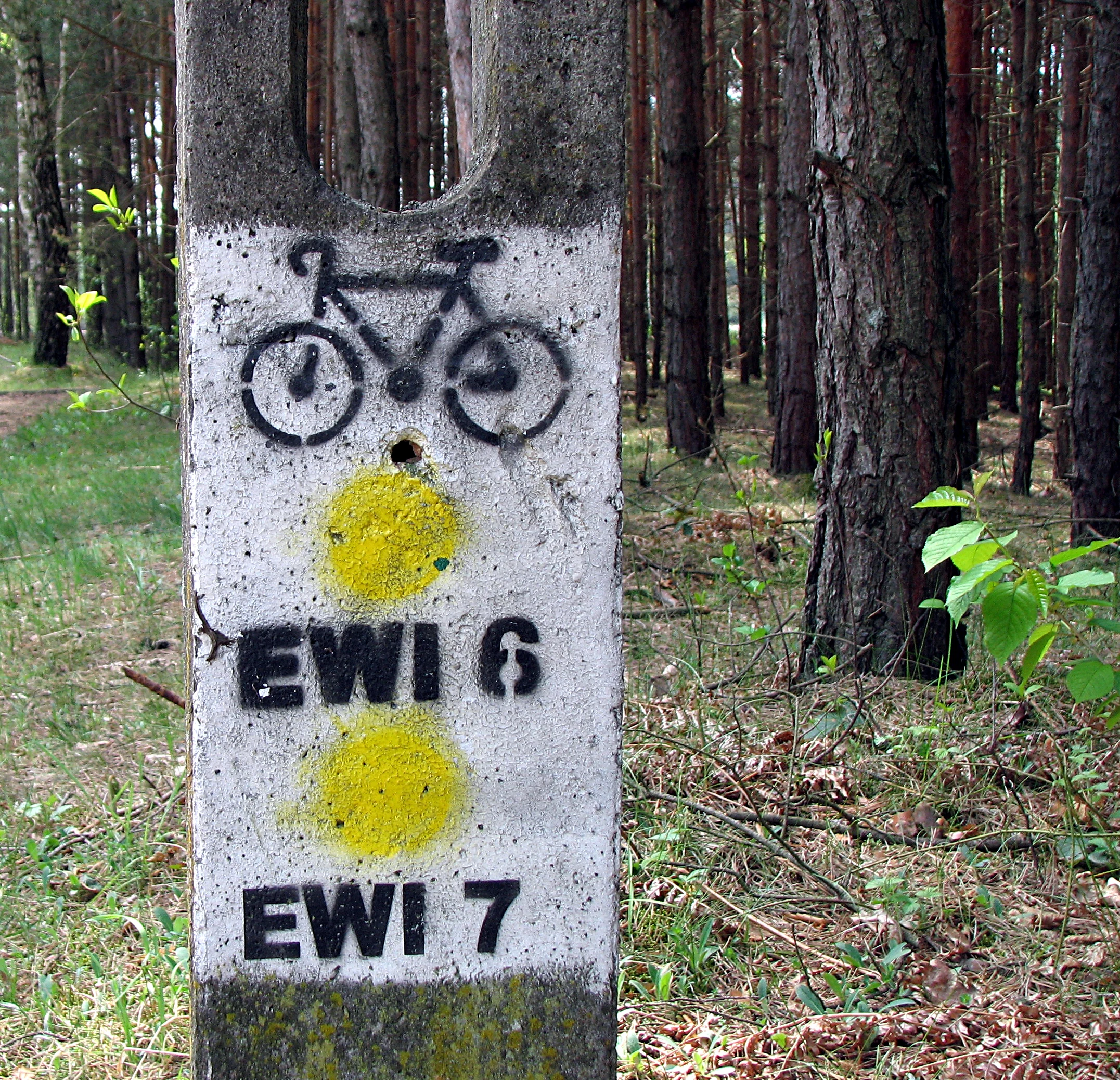 A concrete trail marker post standing in a pine forest, featuring a stenciled bicycle icon and text reading EWI 6 and EWI 7 with yellow circular markers.