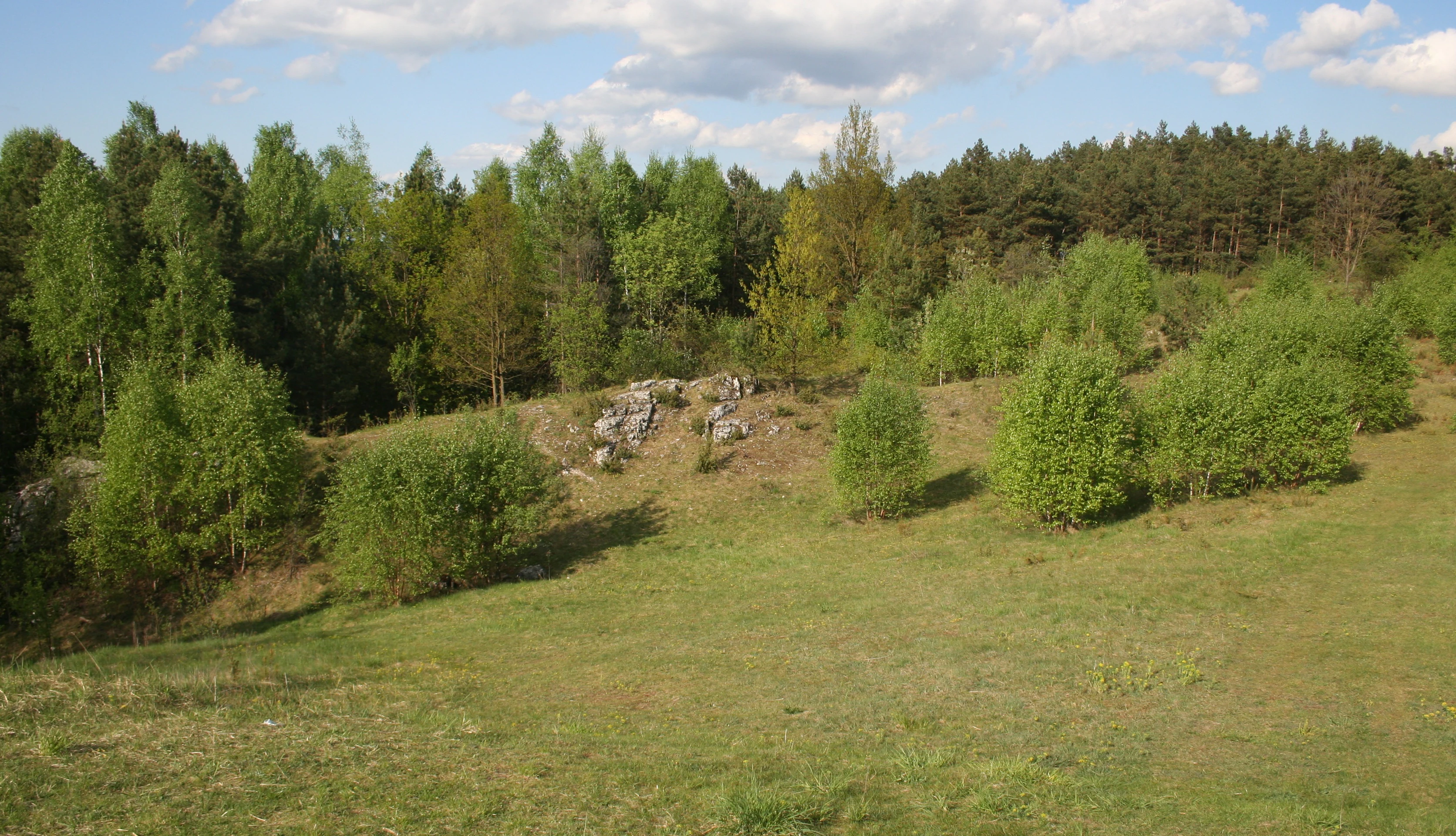 A gentle grassy hill featuring small limestone rock outcroppings, surrounded by mixed deciduous and coniferous forest under a partly cloudy sky.