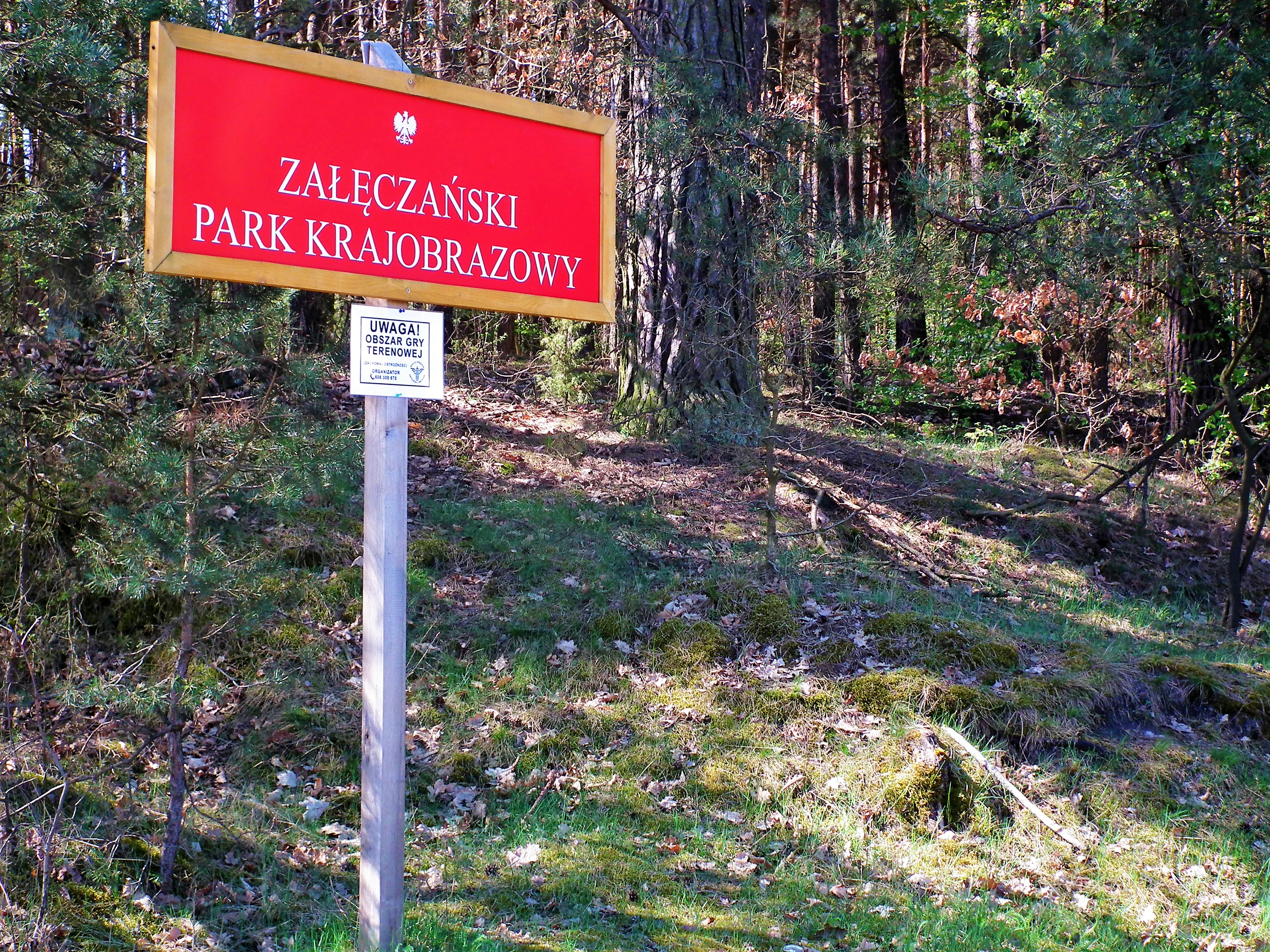 A rectangular red sign with white text reading Zaleczanski Park Krajobrazowy, mounted on a wooden post at the edge of a pine forest.