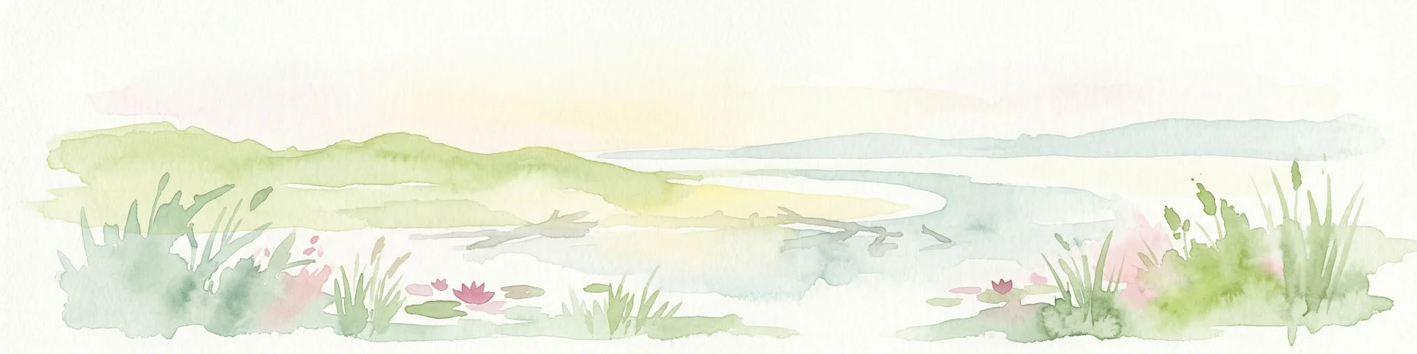 Ilustración en acuarela de un paisaje fluvial con colinas verdes, juncos y nenúfares