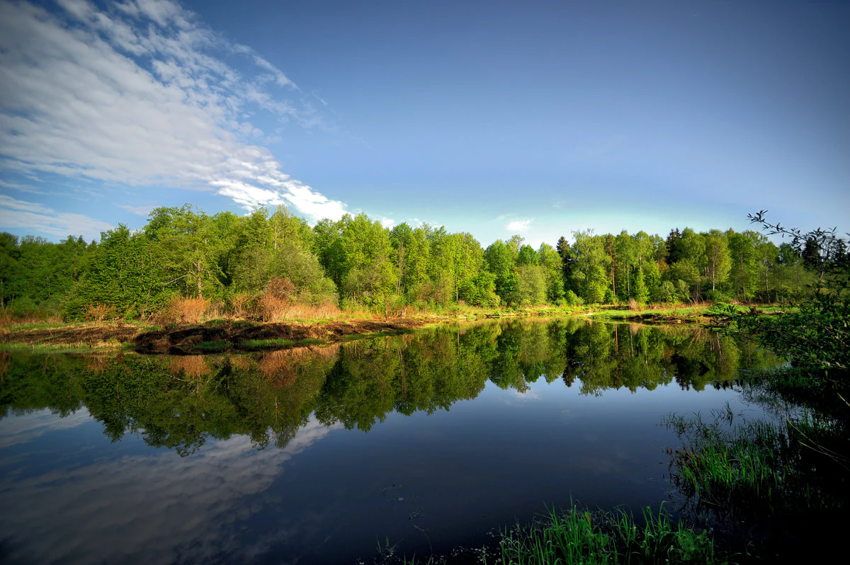 Una vista amplia del río Lama en un día despejado, con un frondoso bosque verde en la orilla lejana reflejado perfectamente en el agua tranquila bajo un cielo azul.
