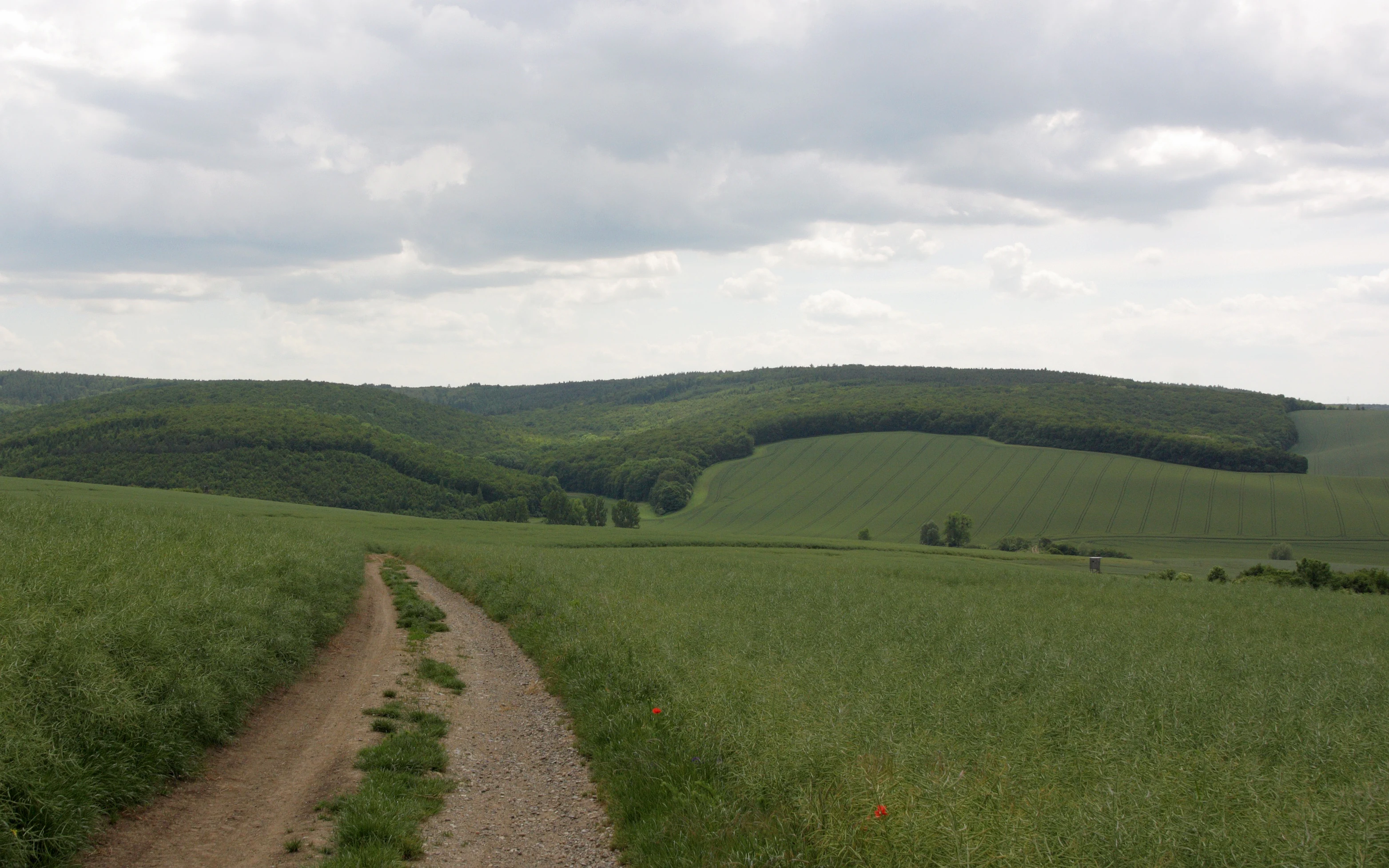 A dirt path leads through a green field toward a rolling, forested hillside under a cloudy sky.