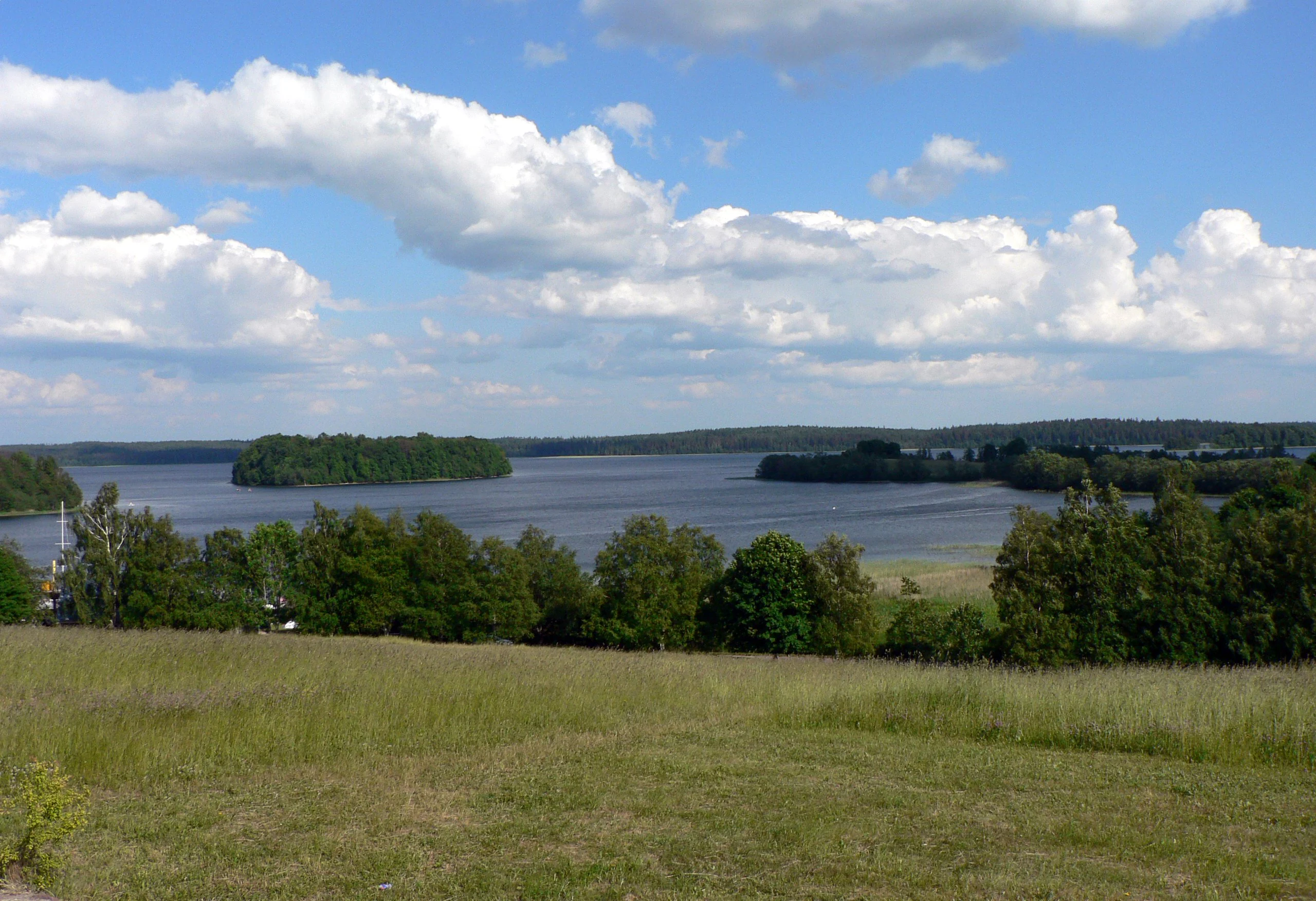 Grassy field leading to a lake with a small island, surrounded by trees under a partly cloudy sky