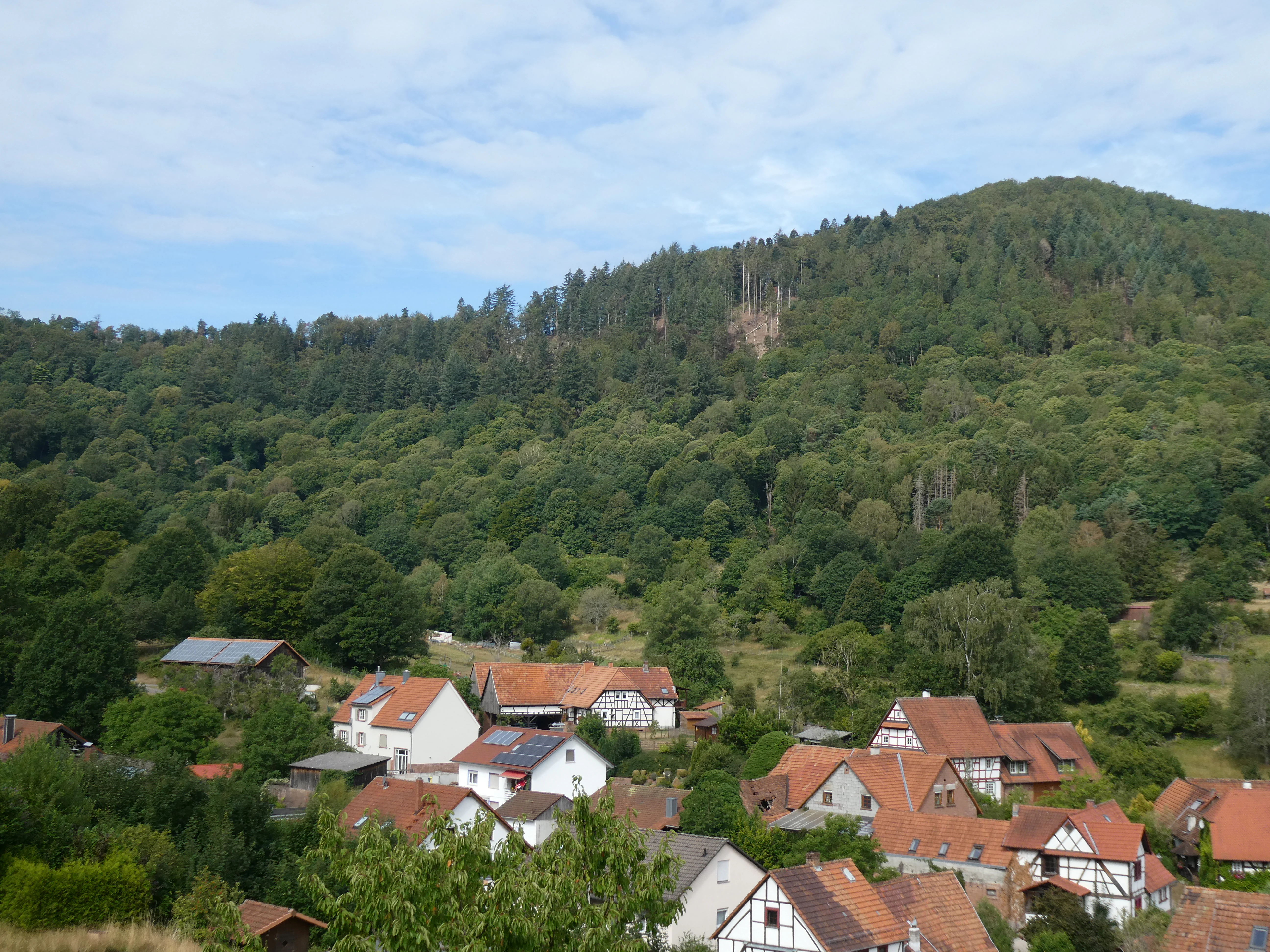 A view of the village of Nothweiler with traditional German timber-framed houses under a forested mountain slope.