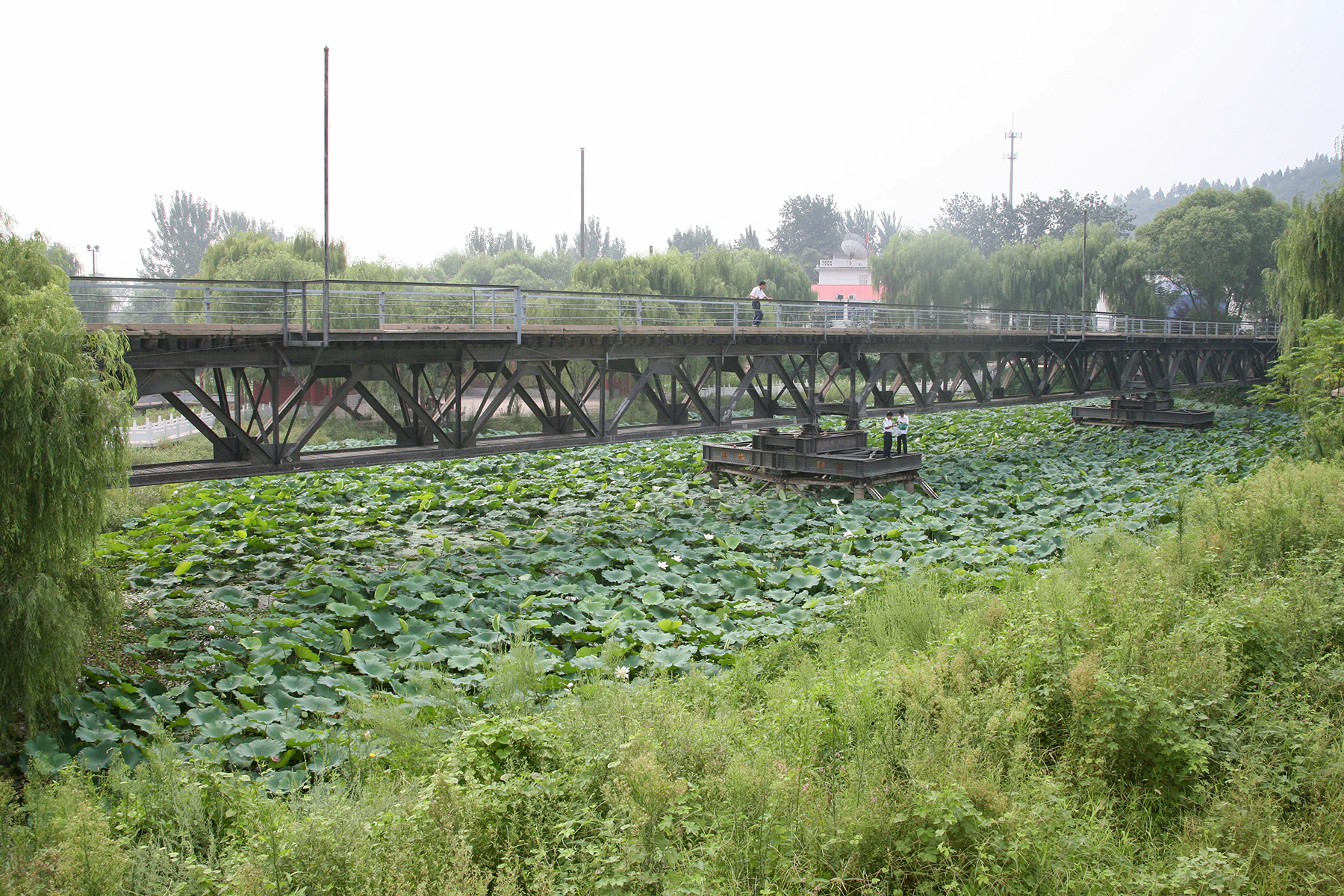An old steel truss railway bridge crosses over a pond filled with lily pads, surrounded by lush green trees and vegetation.