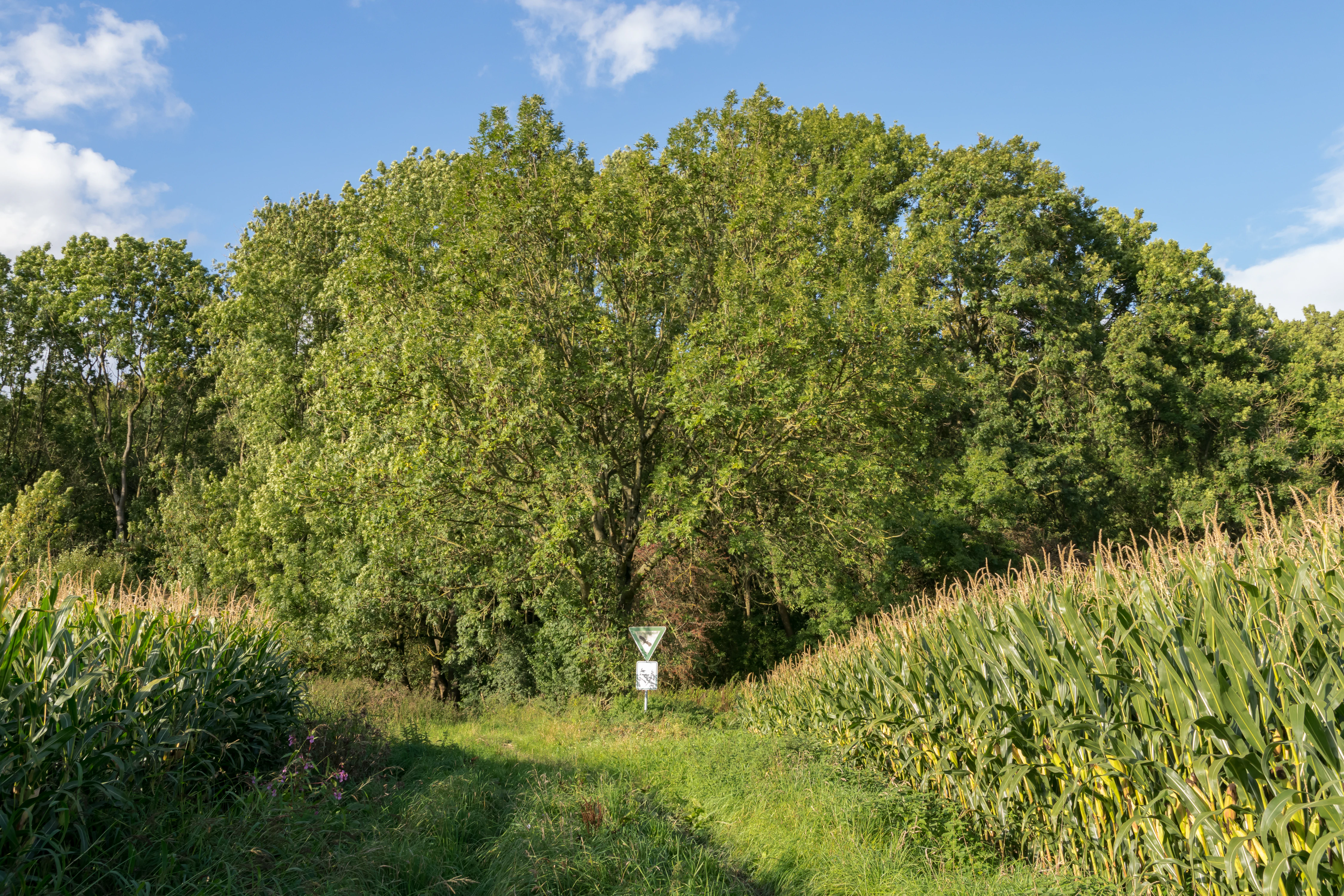 Ziegenberg Nature Reserve