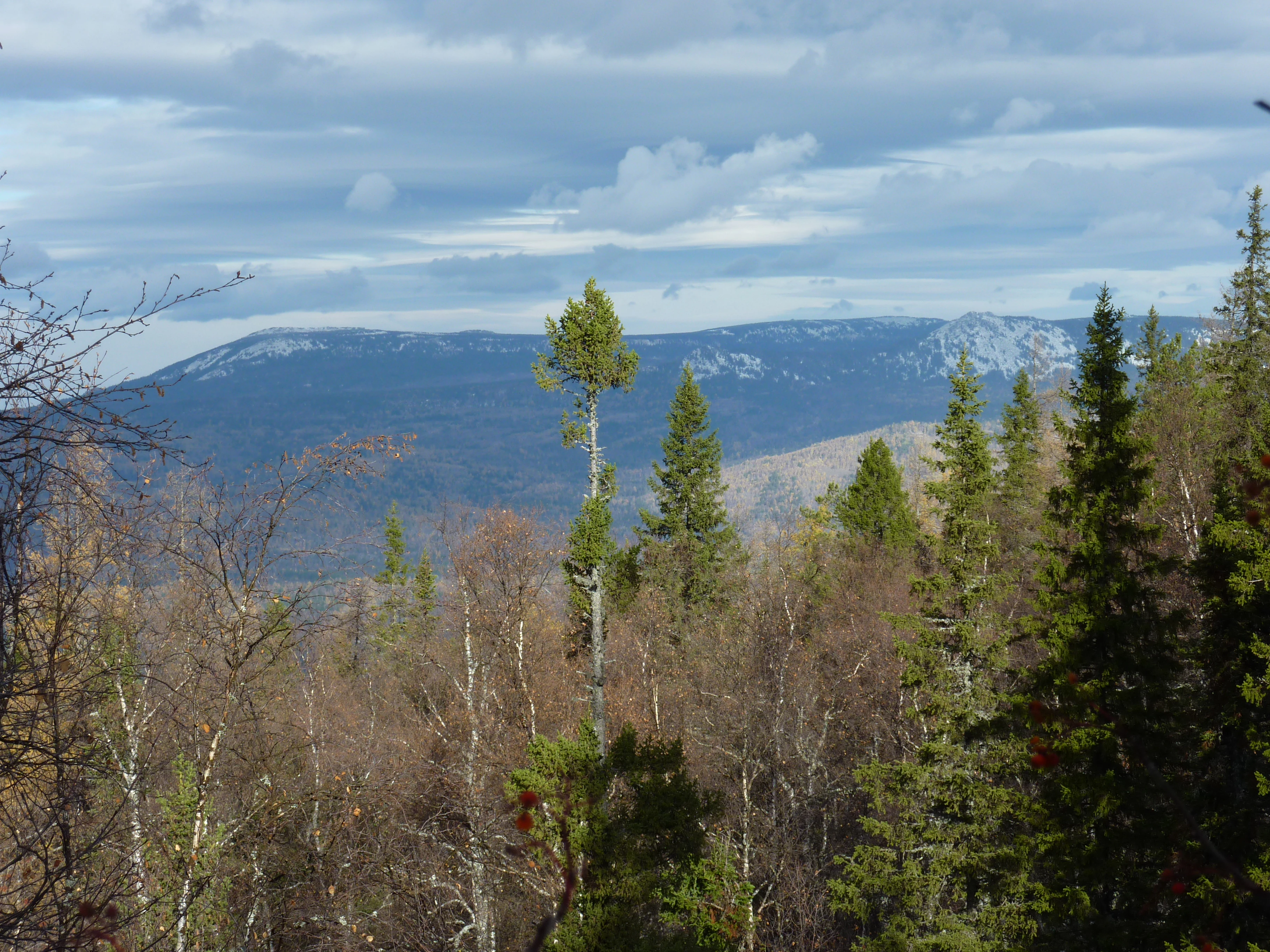 Una vista amplia de una lejana y larga cresta montañosa rocosa bajo un cielo nublado, vista sobre un primer plano de árboles mixtos de hoja perenne y caduca.