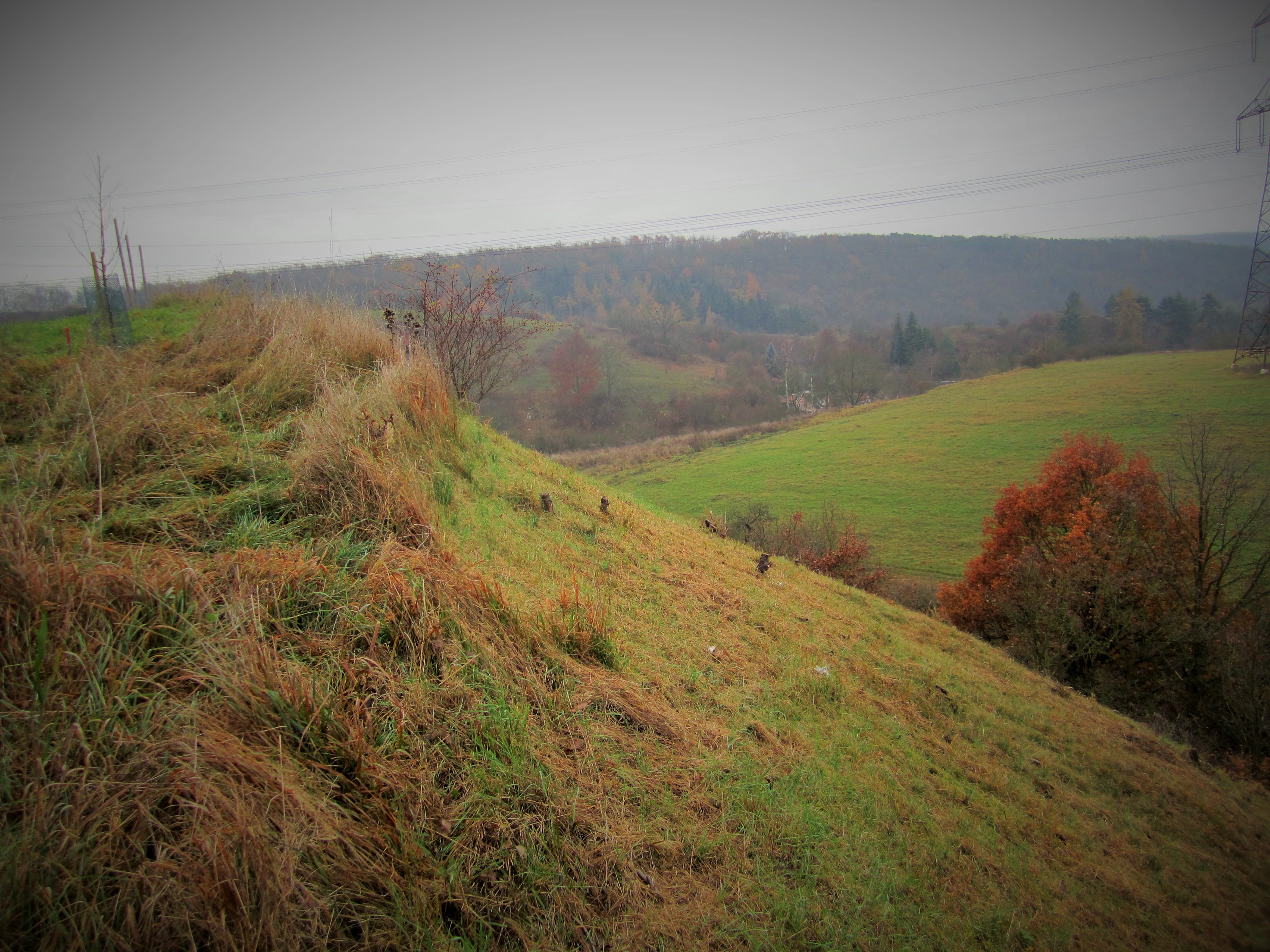 A sloped grassy hillside covered in dry and green grass leads down toward a valley filled with trees and more rolling hills under an overcast sky.
