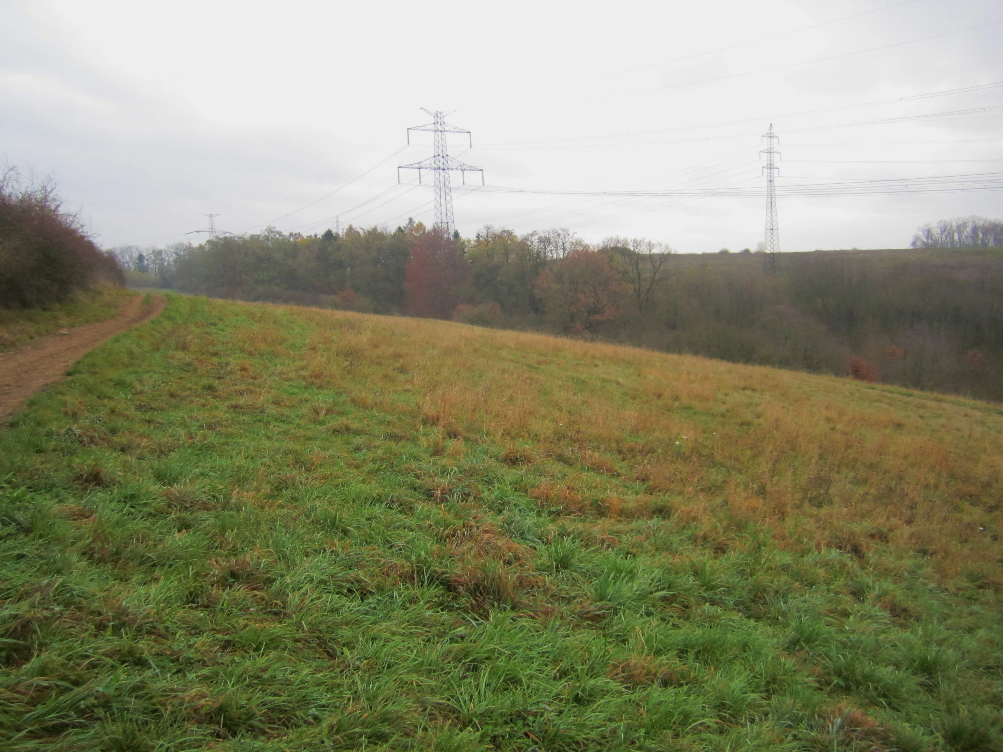 A wide view of a grassy meadow under an overcast sky, with a dirt trail on the left and tall power line towers visible in the background against a line of trees.