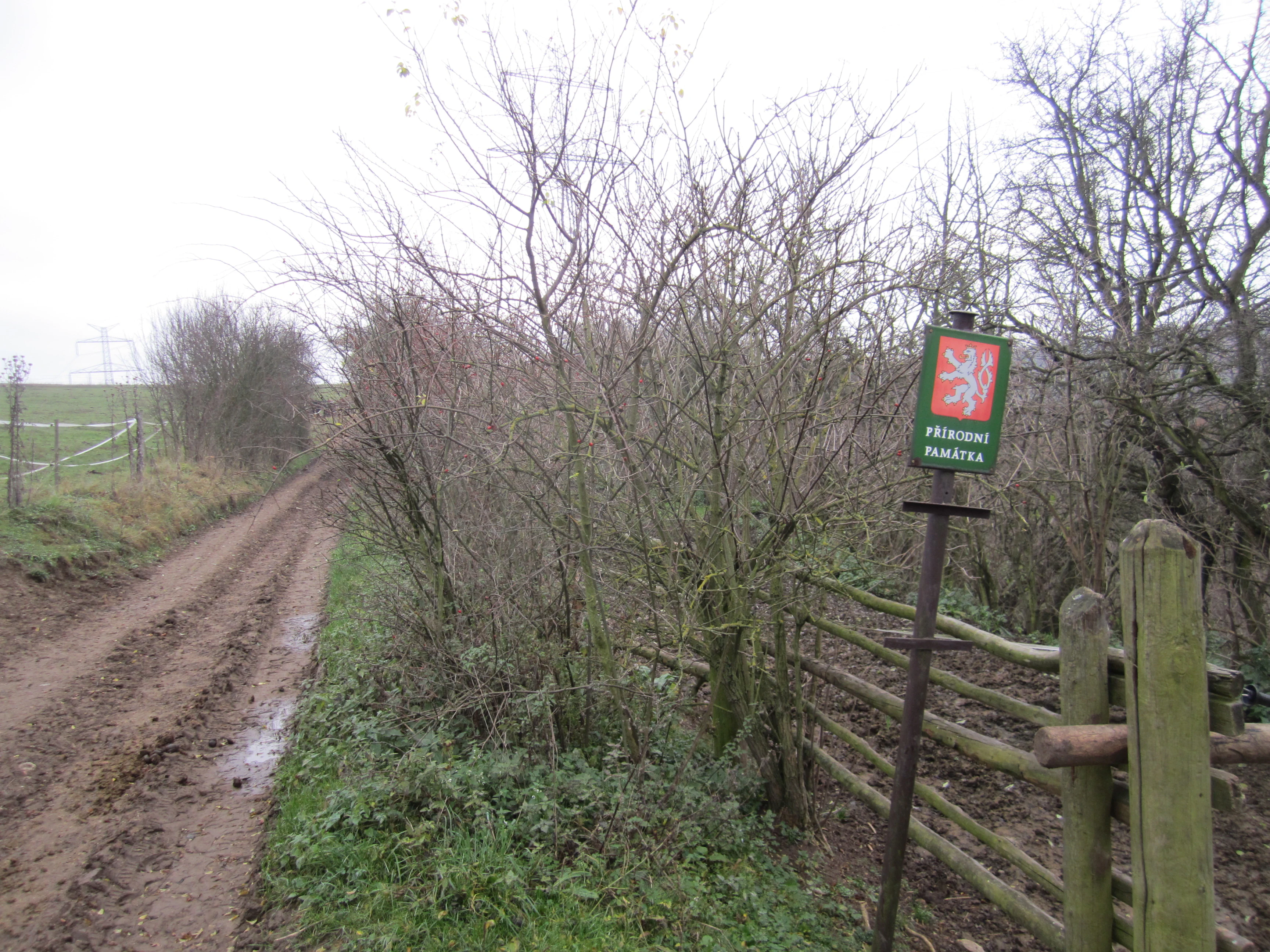 A dirt path leading into a wooded area in Zmrzlík, with a green Czech protected area sign on a metal post near a wooden fence.