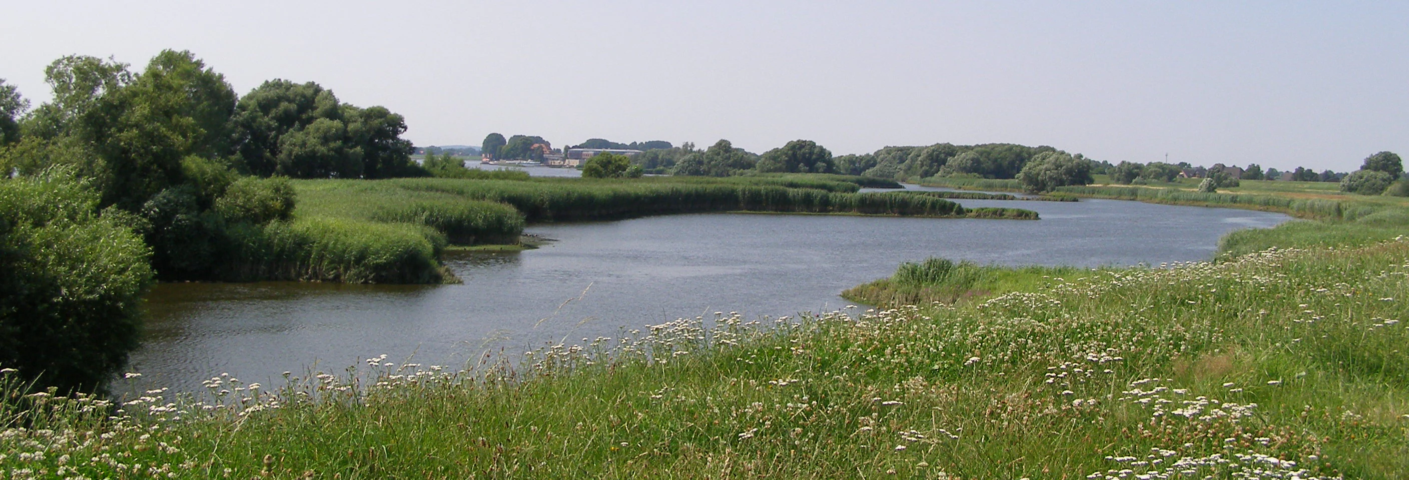 Zollenspieker Nature Reserve tidal creek