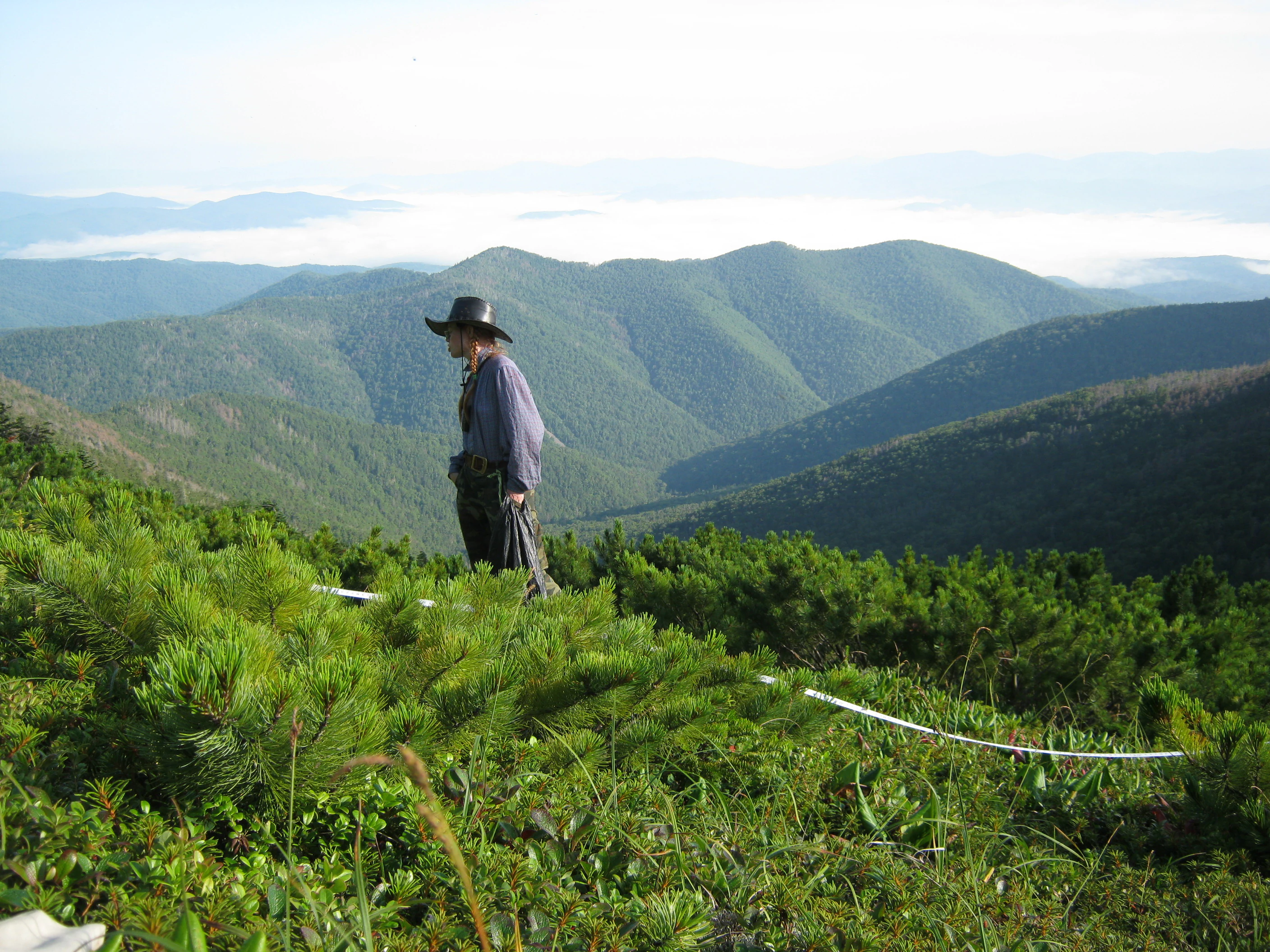 A person standing on a grassy hillside with dense green vegetation, overlooking a valley with rolling mountains under a partly cloudy sky
