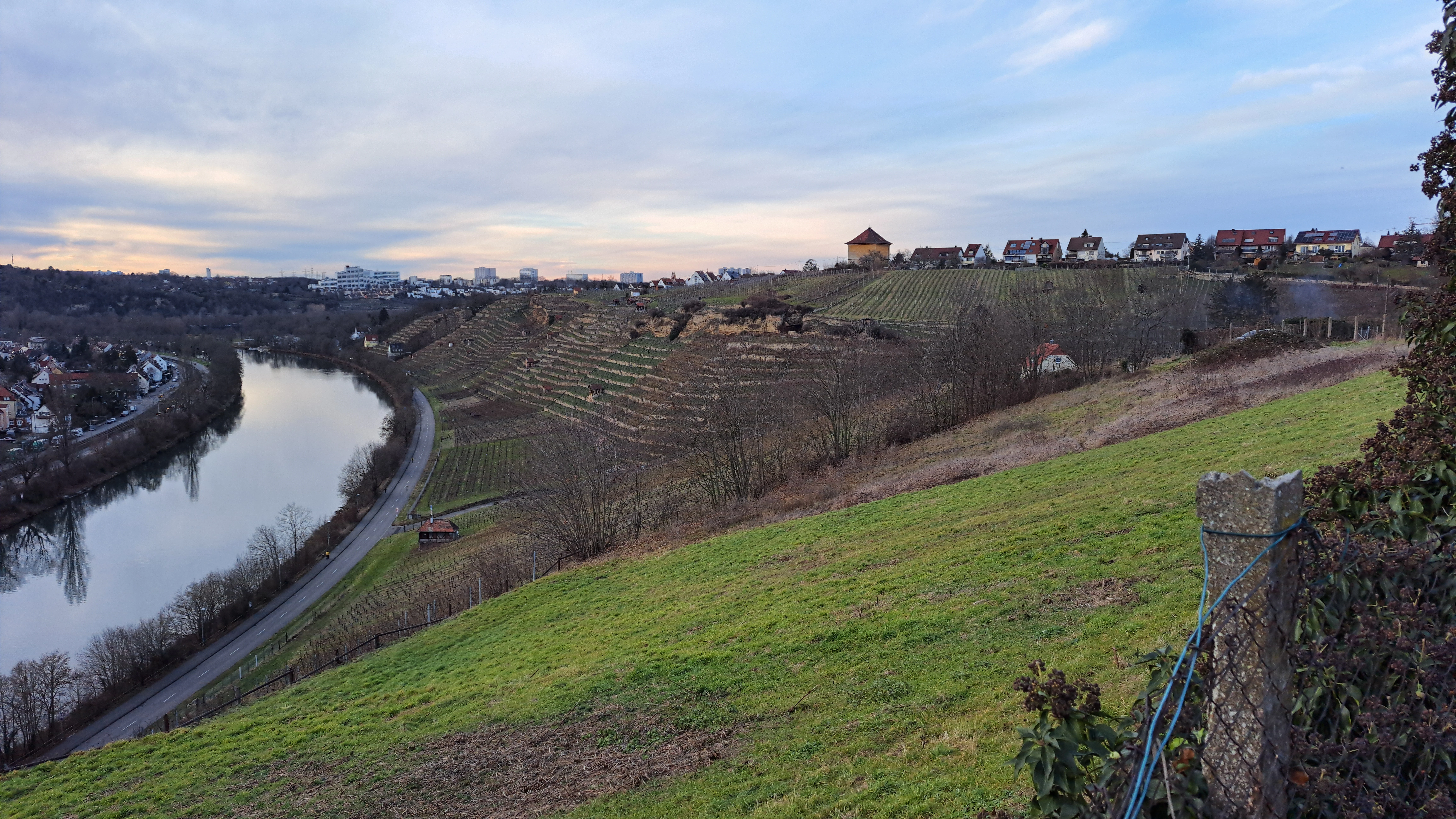 A wide landscape view of the Zuckerberg-Muckensturm area featuring terraced vineyard slopes descending toward the Neckar River with a town skyline in the background.