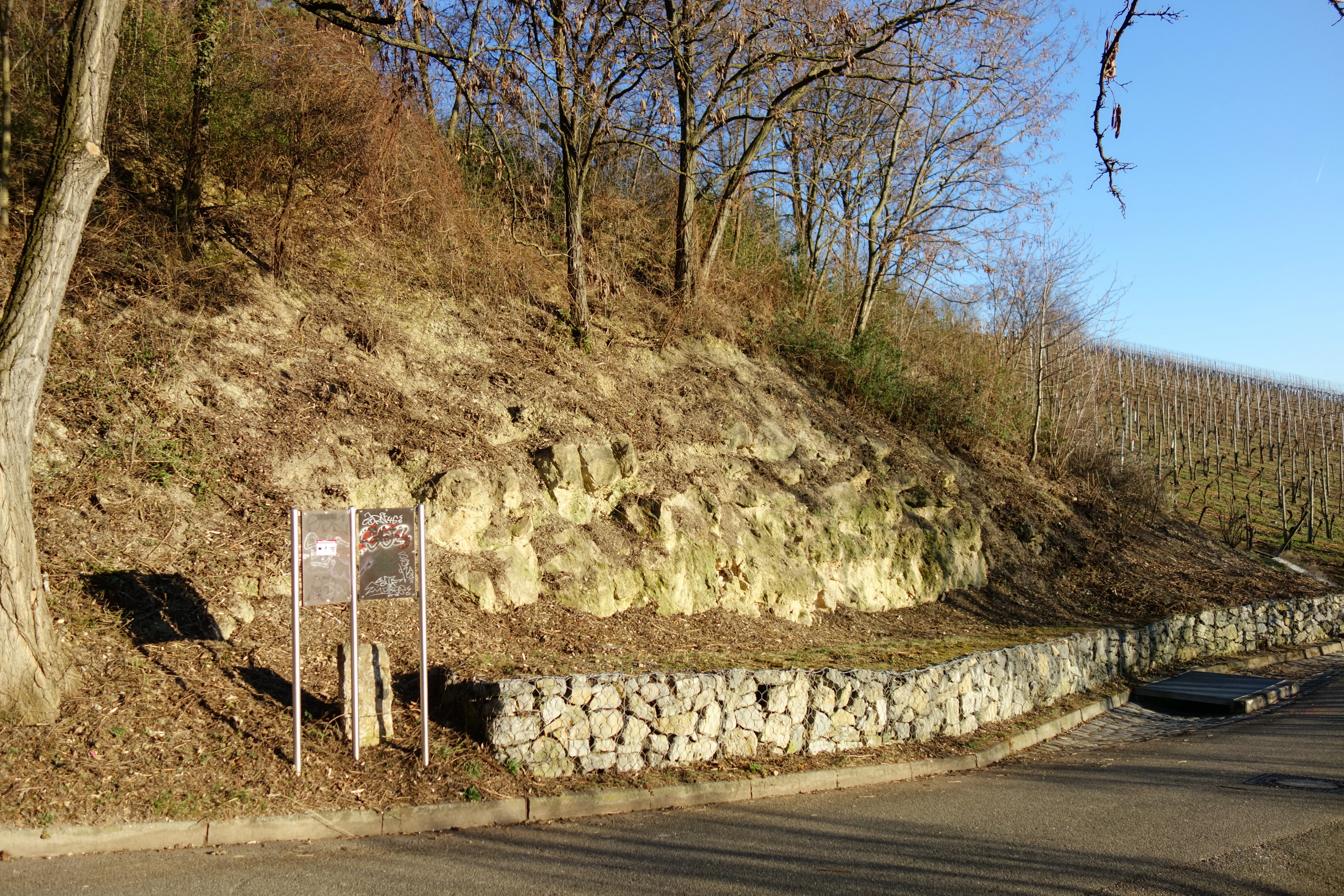 A geological outcrop featuring layers of rock along a hillside, adjacent to a road with a stone retaining wall and a small information sign.