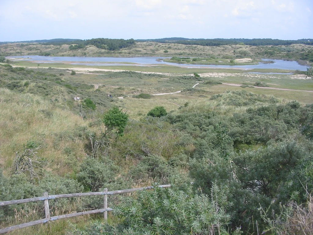 Coastal dunes with vegetation, a wooden fence in foreground, and a body of water in the background under a partly cloudy sky