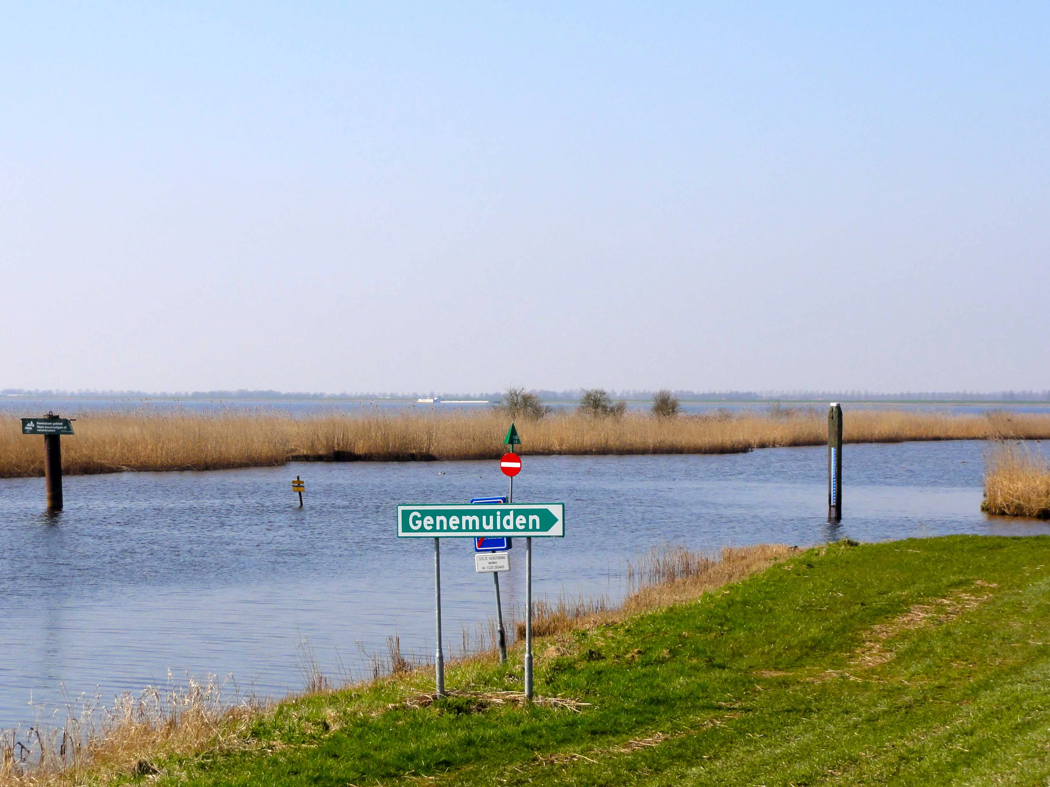 A green navigational road-style sign reading Genemuiden stands on a grassy bank beside a river, with vast reed beds and open water in the background.